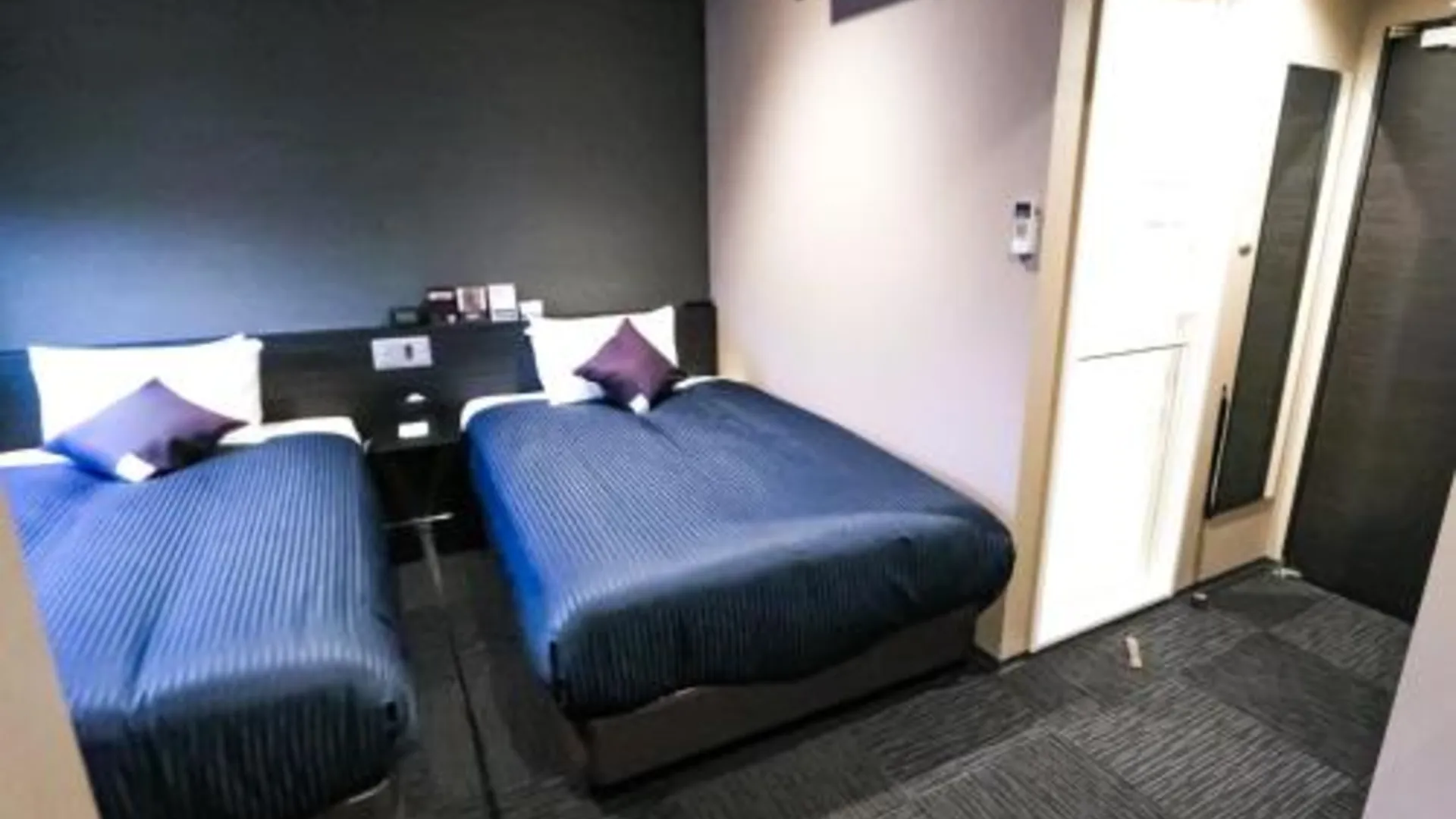 도쿄 / 동경 Hotel Livemax Tokyo Otsuka-Ekimae 2성급 호텔 전망