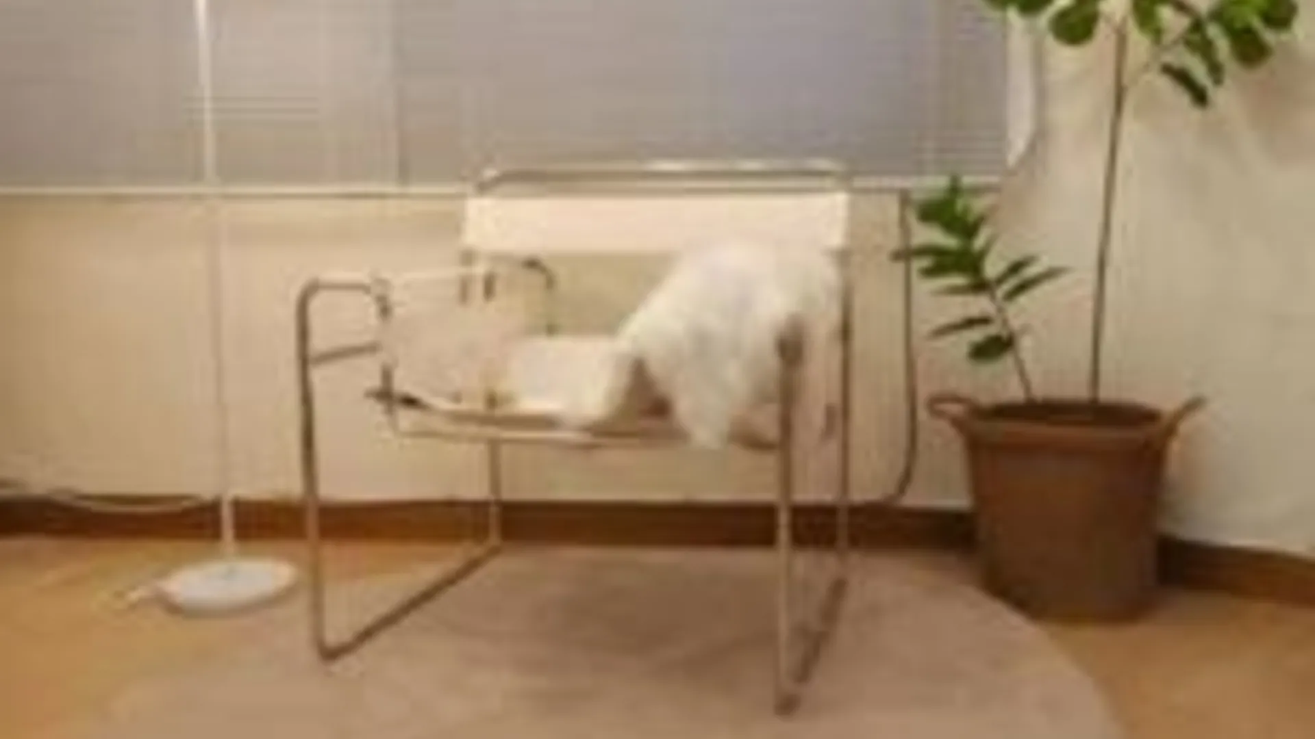 서울 K-5 넓은공간, 홍대 연트럴파크, 홍대역6번출구 7분 3성급 게스트하우스 객실