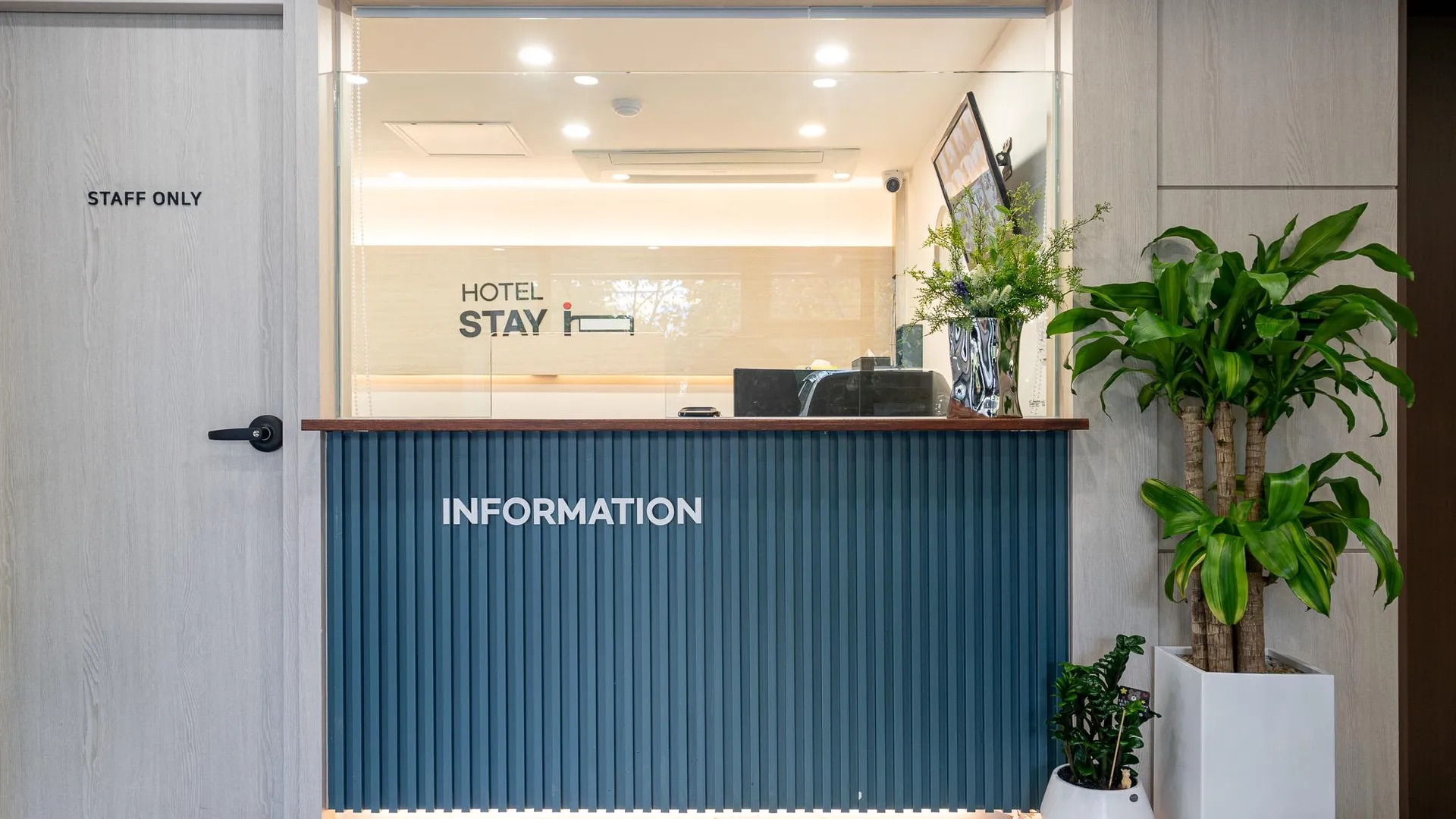 서울 동대문역사문화공원역 호텔 스테이인 2성급 호텔 전망