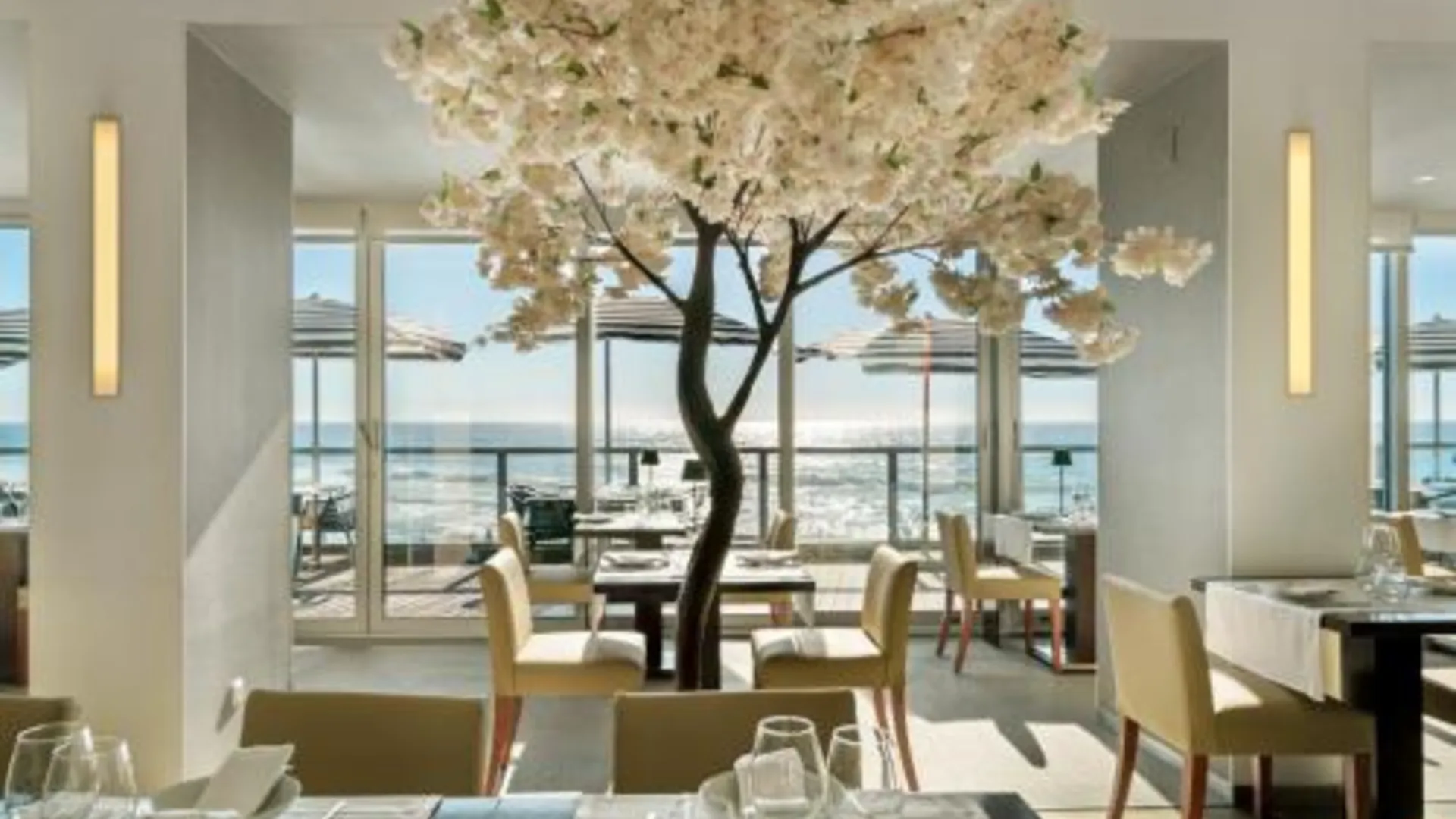 콜라레스 아리바스 신트라 호텔 4성급 호텔 수영장