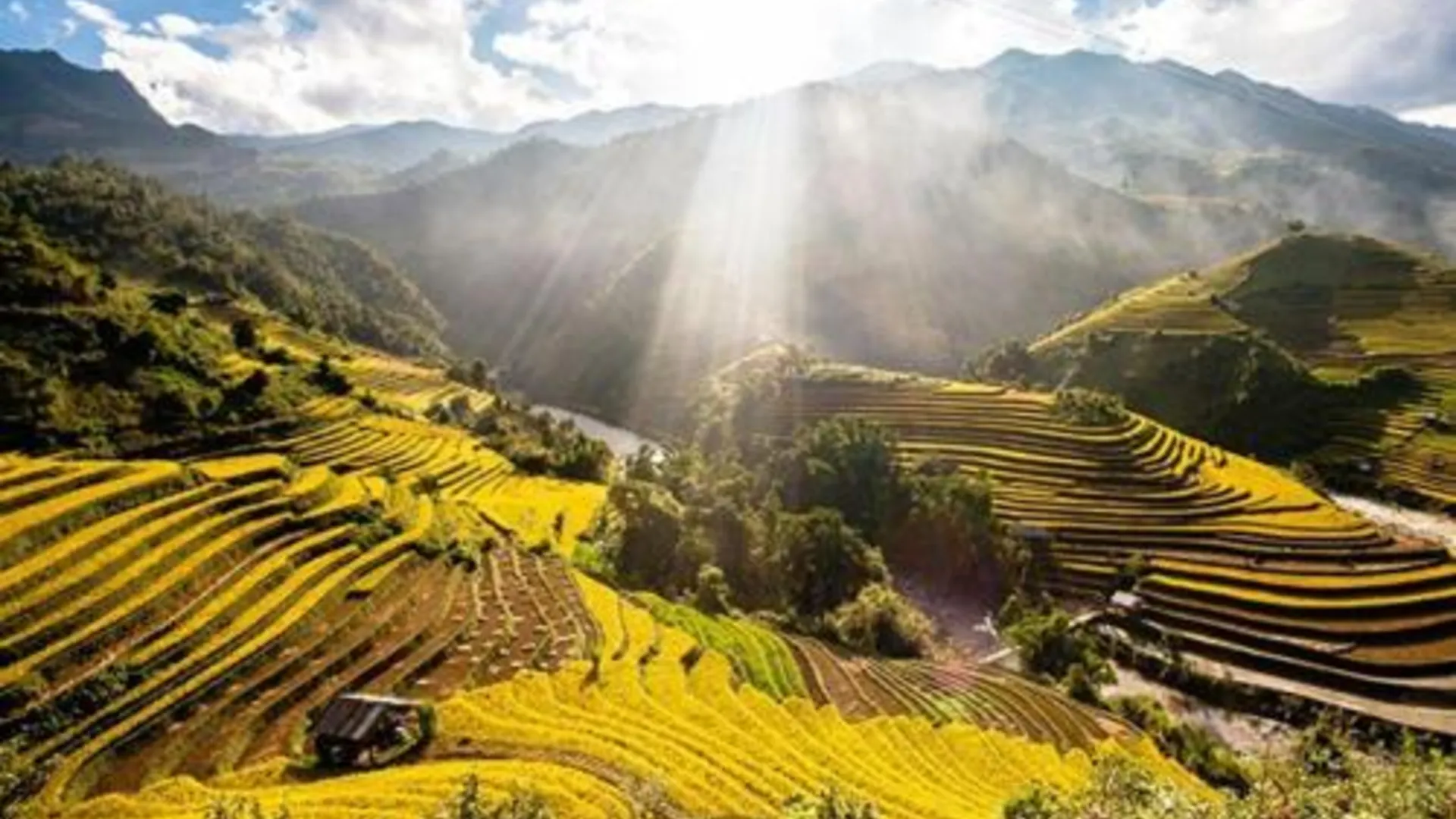 사파 Discovery Hotel 호텔 로비