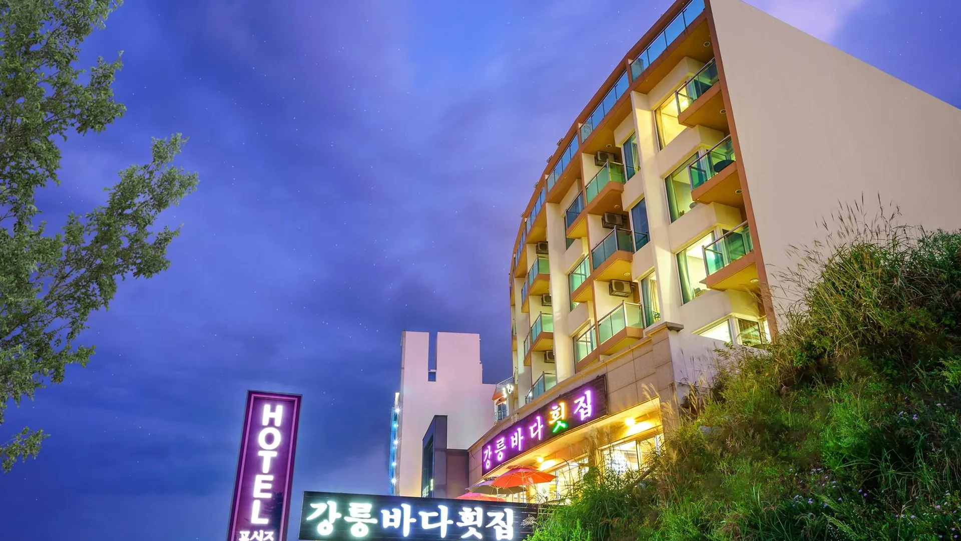 강릉 강릉 경포대 포시즌 비치 호텔 호텔 로비