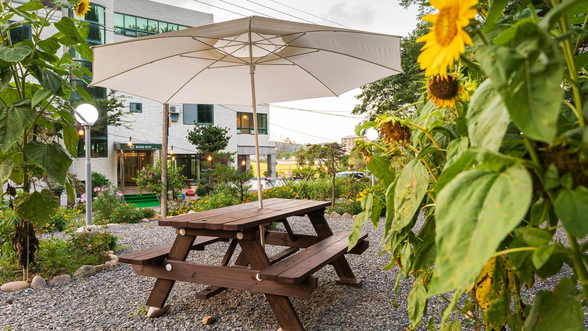 양양 빅소스테이 2성급 호텔 로비