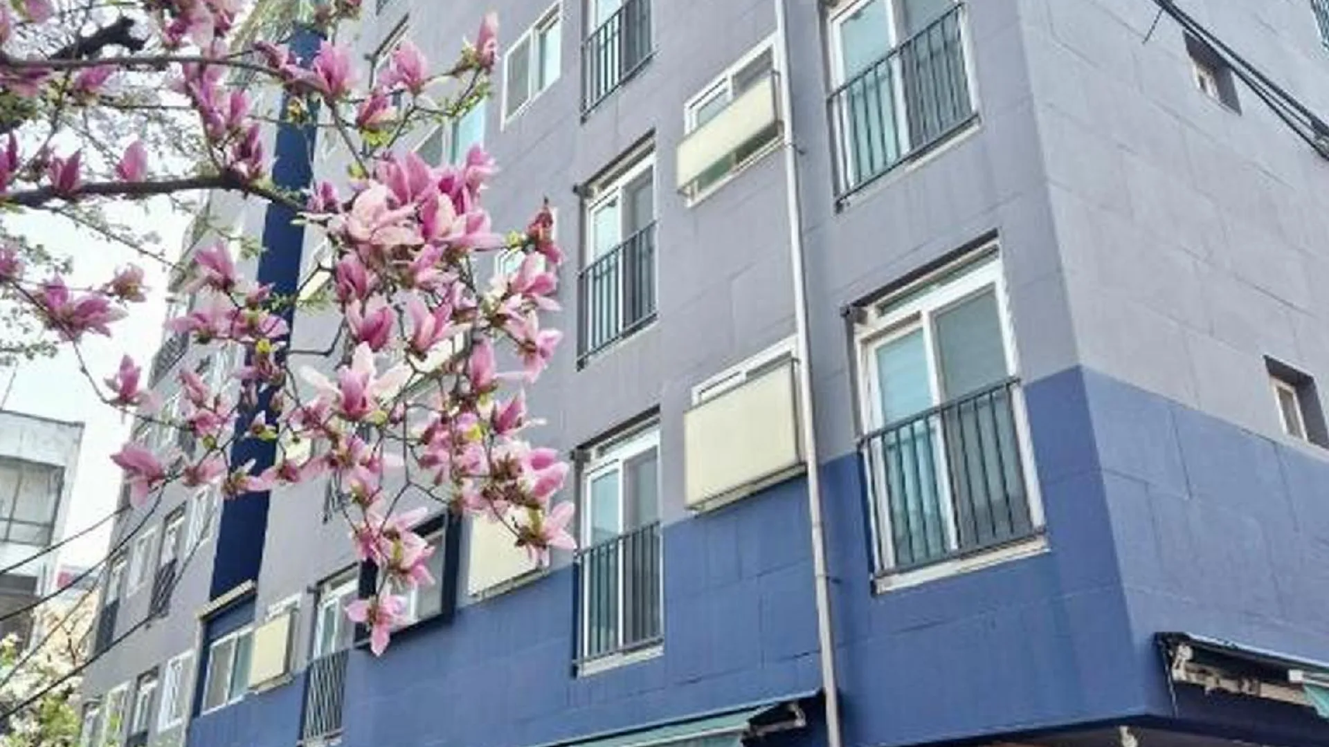 서울 K-WON 스테이 3성급 호텔 객실