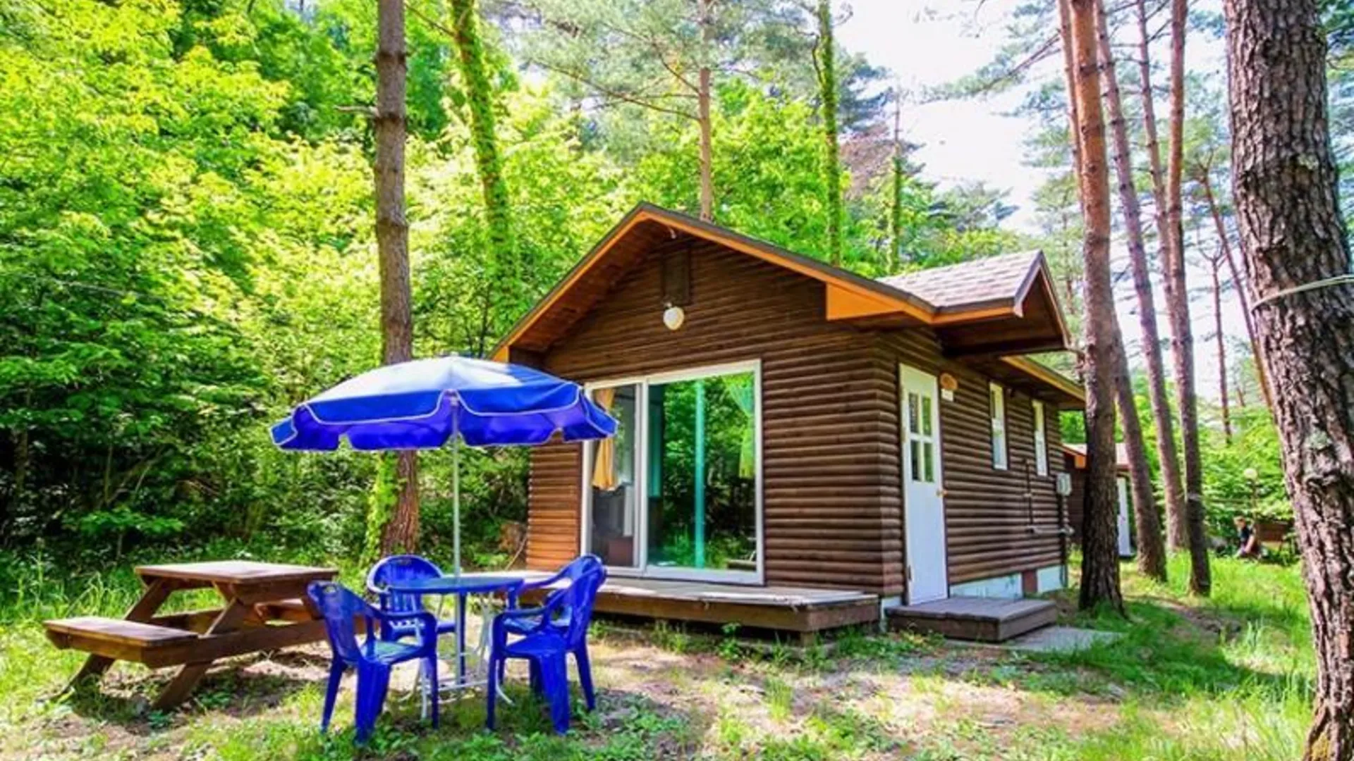 양양 양양 숲속의집펜션 2성급 게스트하우스 로비