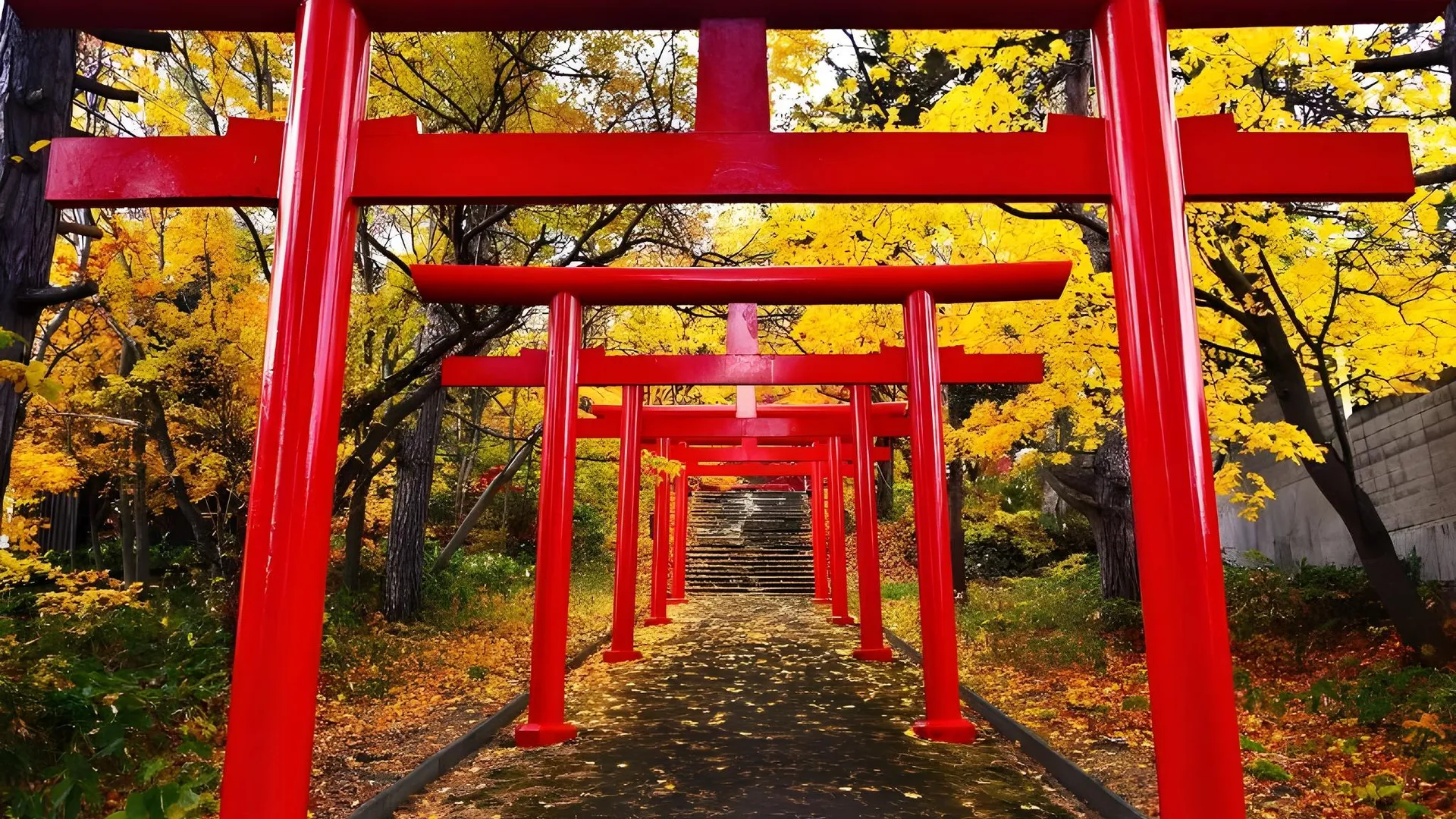 교토 스테이 사쿠라 교토 히가시 혼간지 I 3성급 호텔 전망