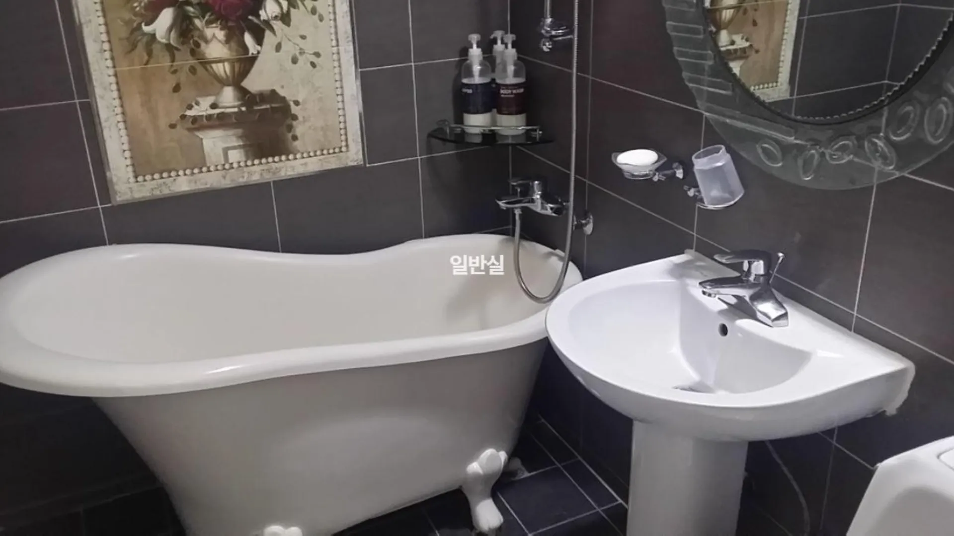 대전 대전 용전 스위트 호텔 전망