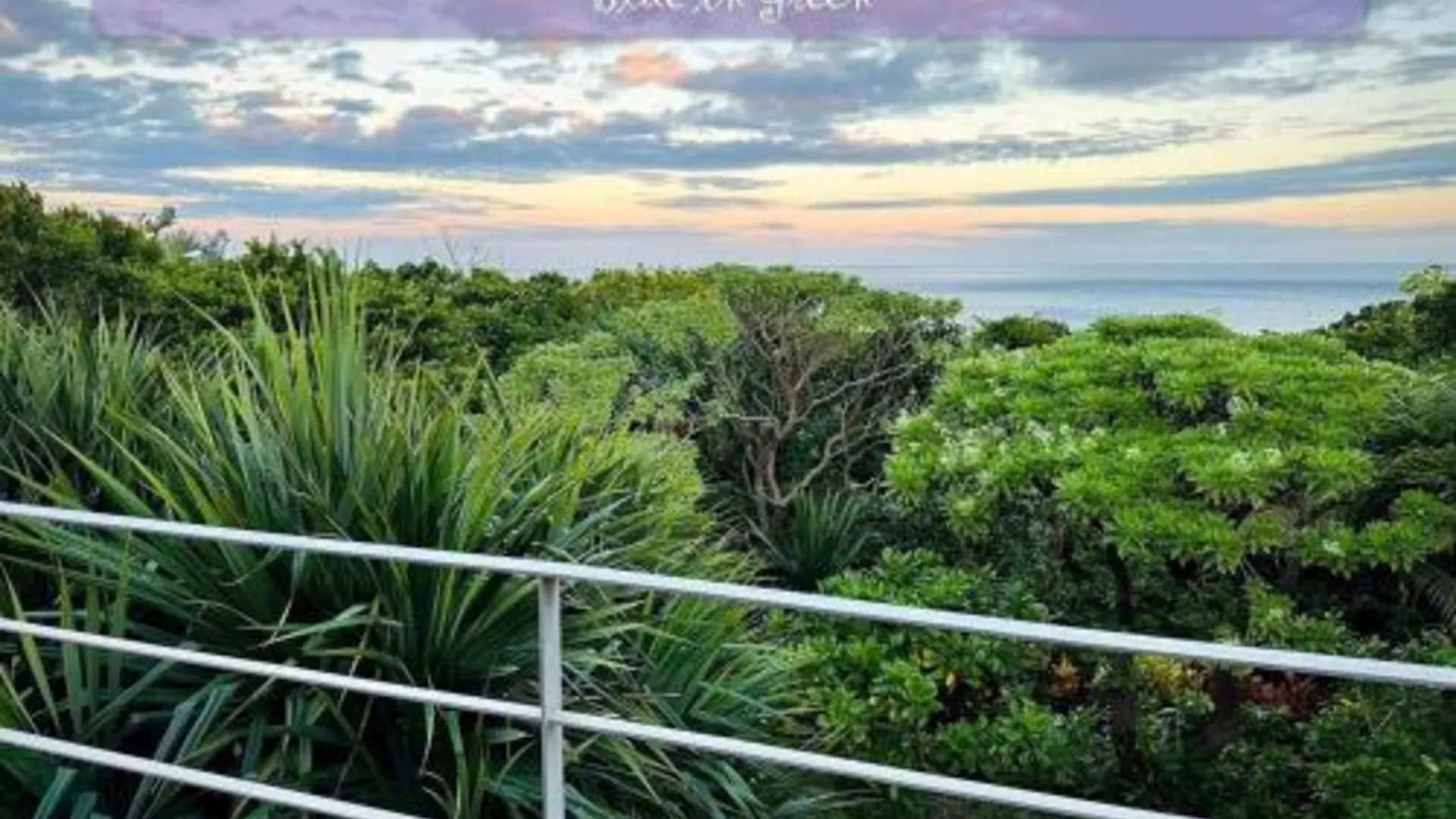 이시가키 青の洞窟 Blue in Green 3성급 게스트하우스 부대시설