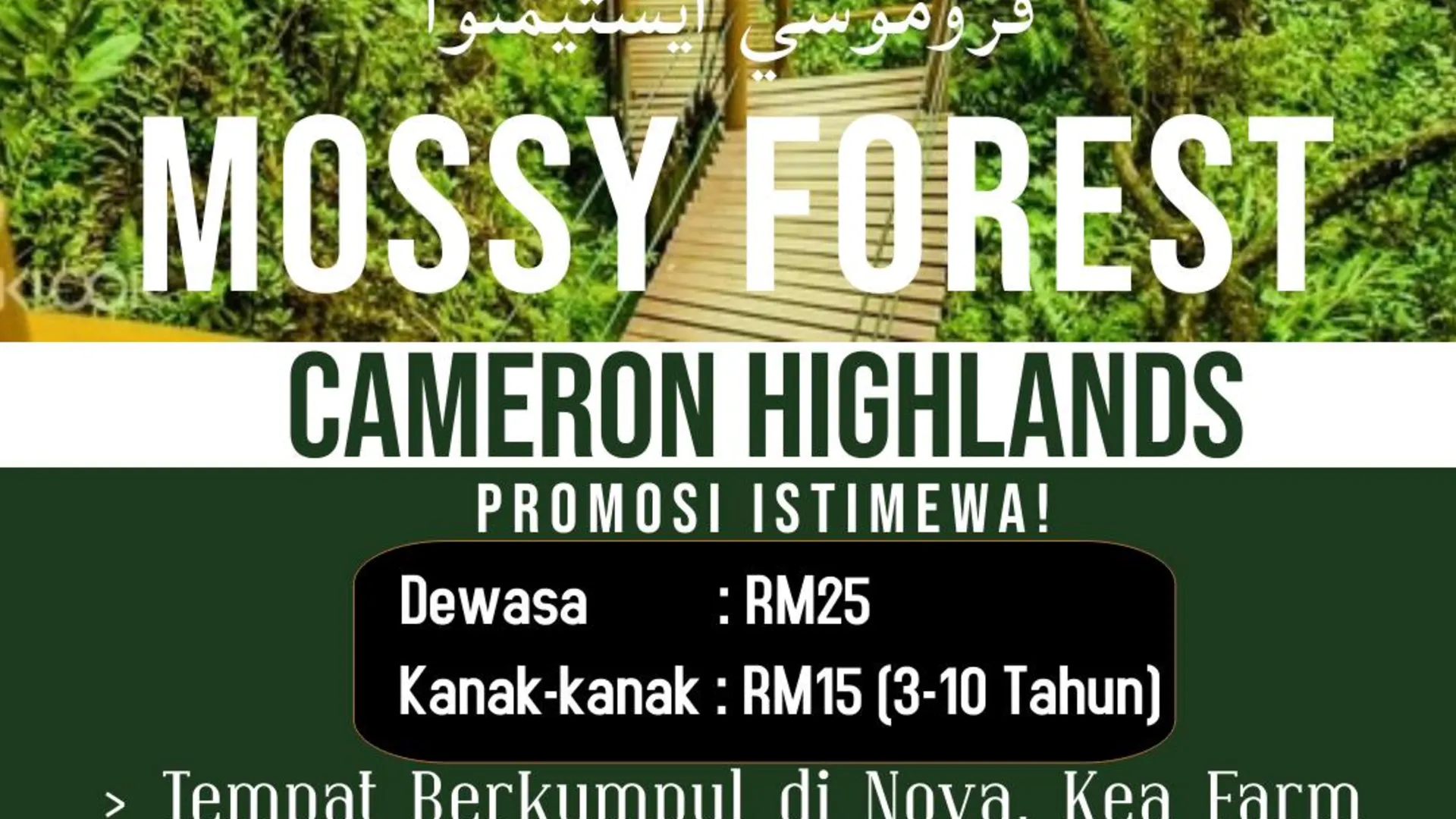 카메론 하일랜즈 타나 라타의 아파트먼트 (800m², 침실 3개, 프라이빗 욕실 2개) 3성급 싱글룸 전망