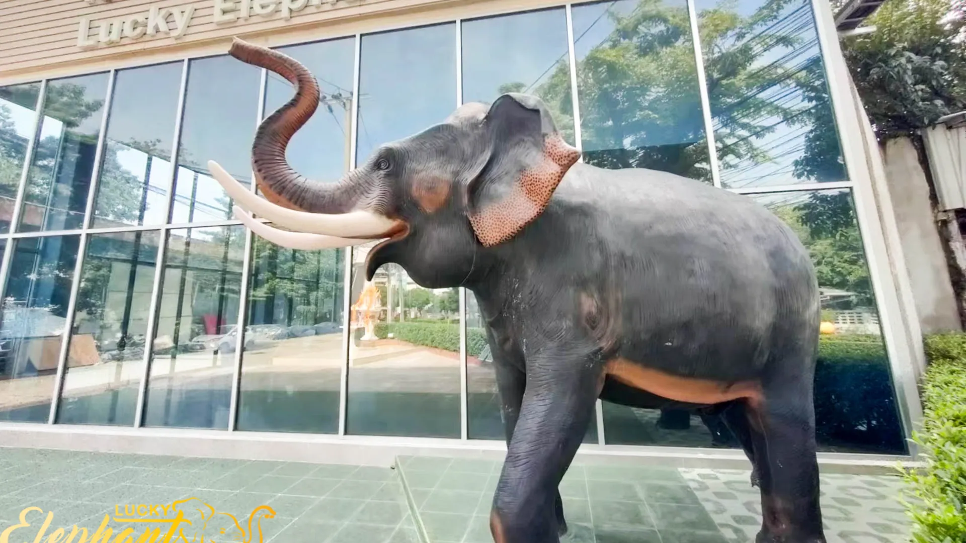 방콕 럭키 엘리펀트 호텔 4성급 호텔 객실