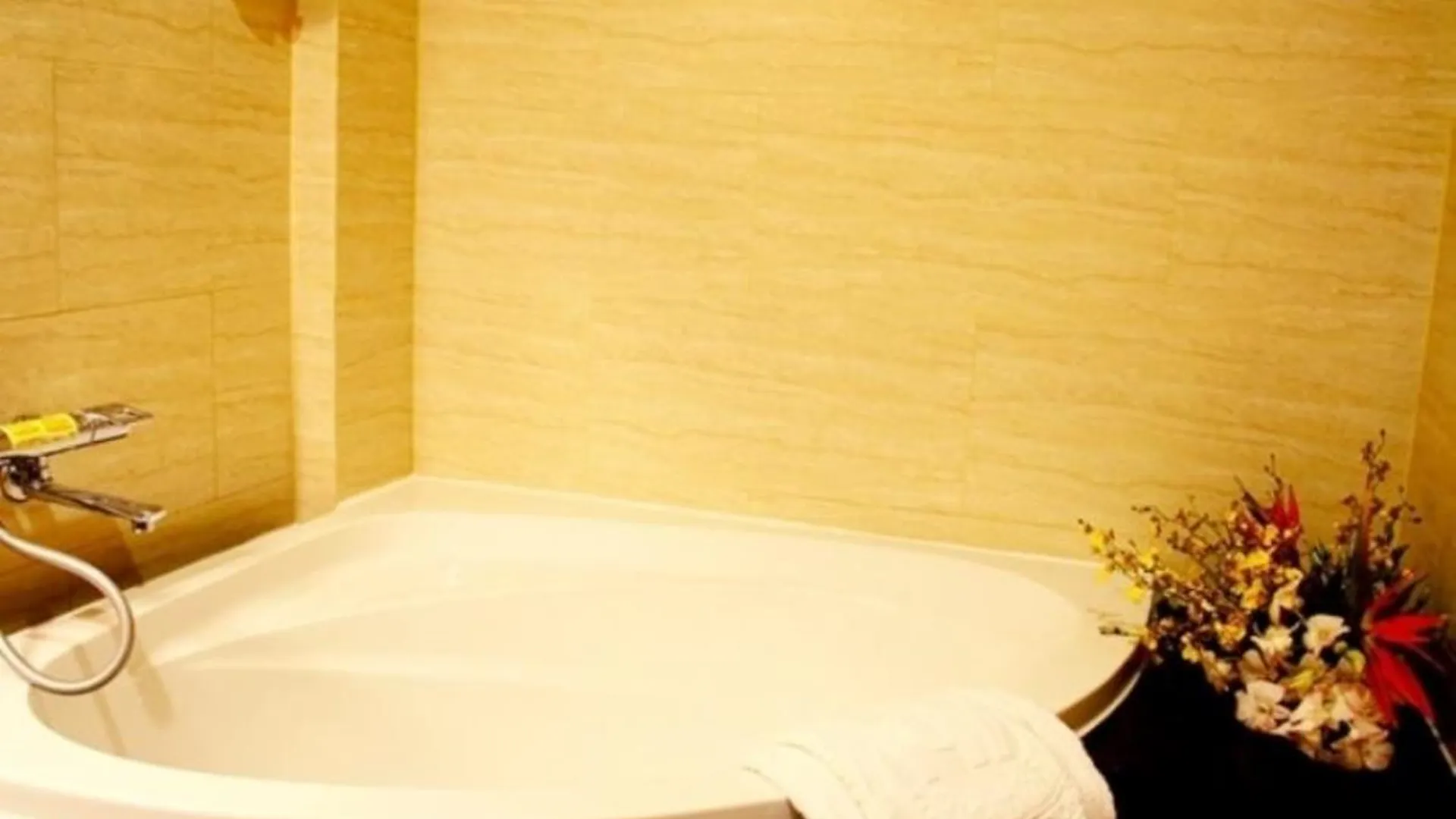 호치민 지아비엔 호텔 3성급 호텔 부대시설