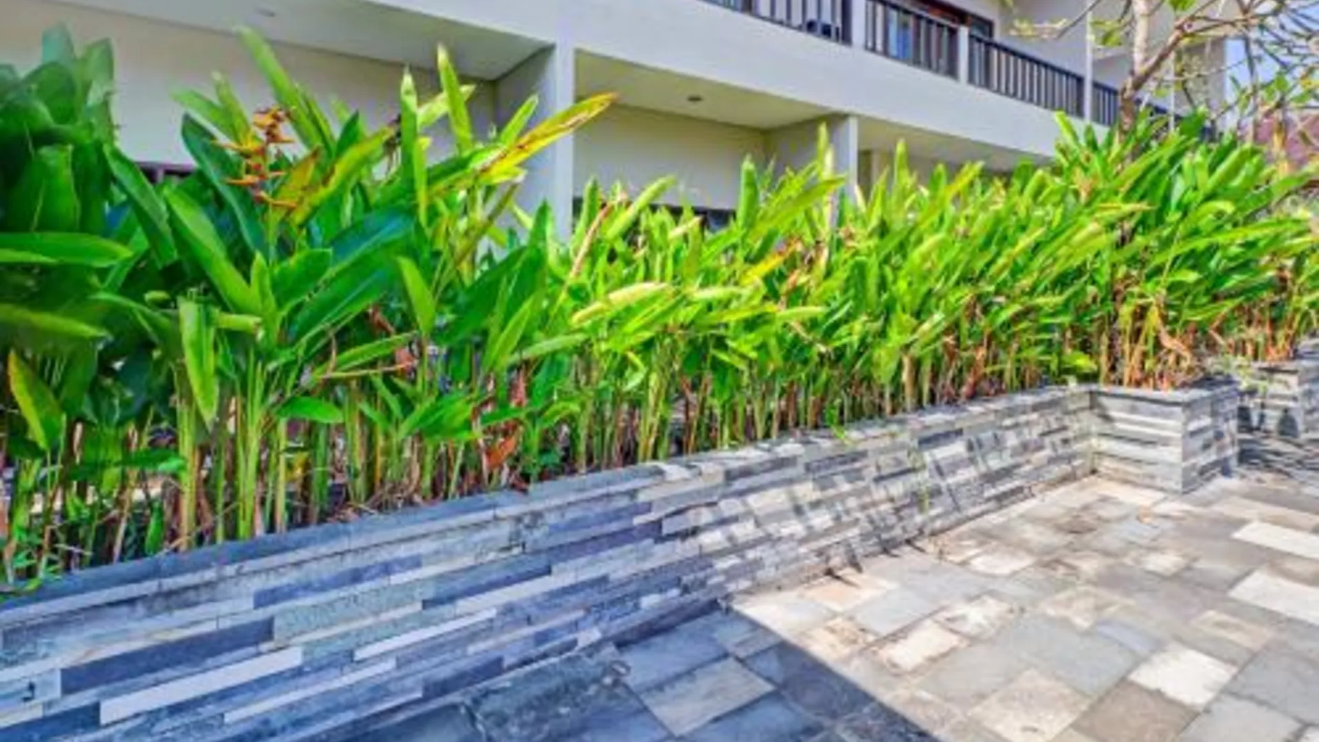 발리 아카르사 코코로 사누르 발리 2성급 호텔 수영장