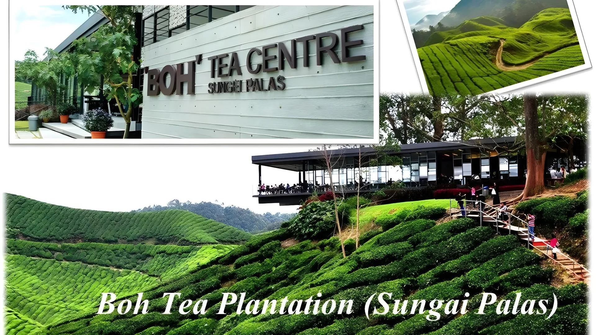 카메론 하일랜즈 브린창의 아파트먼트 (51m², 침실 1개, 프라이빗 욕실 1개) 3성급 싱글룸 수영장