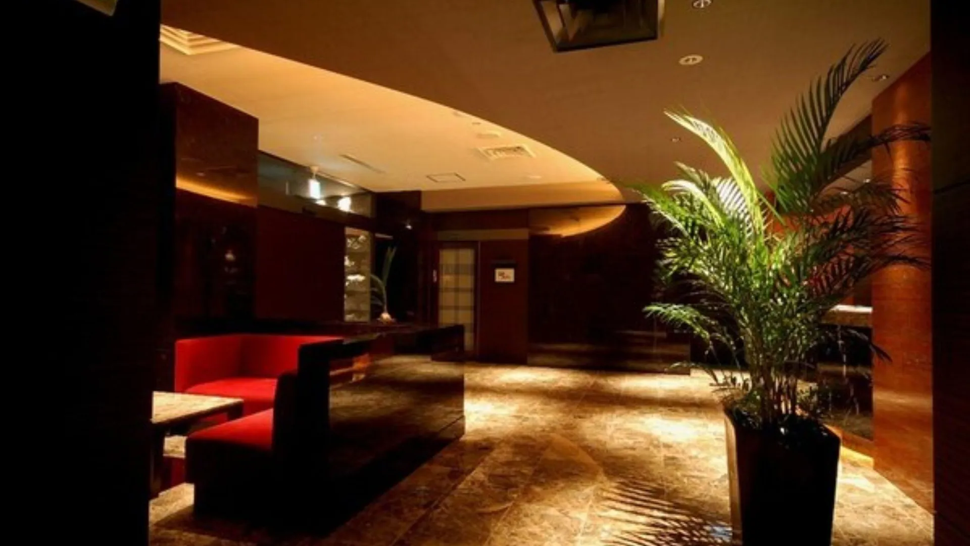 도쿄 / 동경 센터 호텔 도쿄 3성급 호텔 수영장