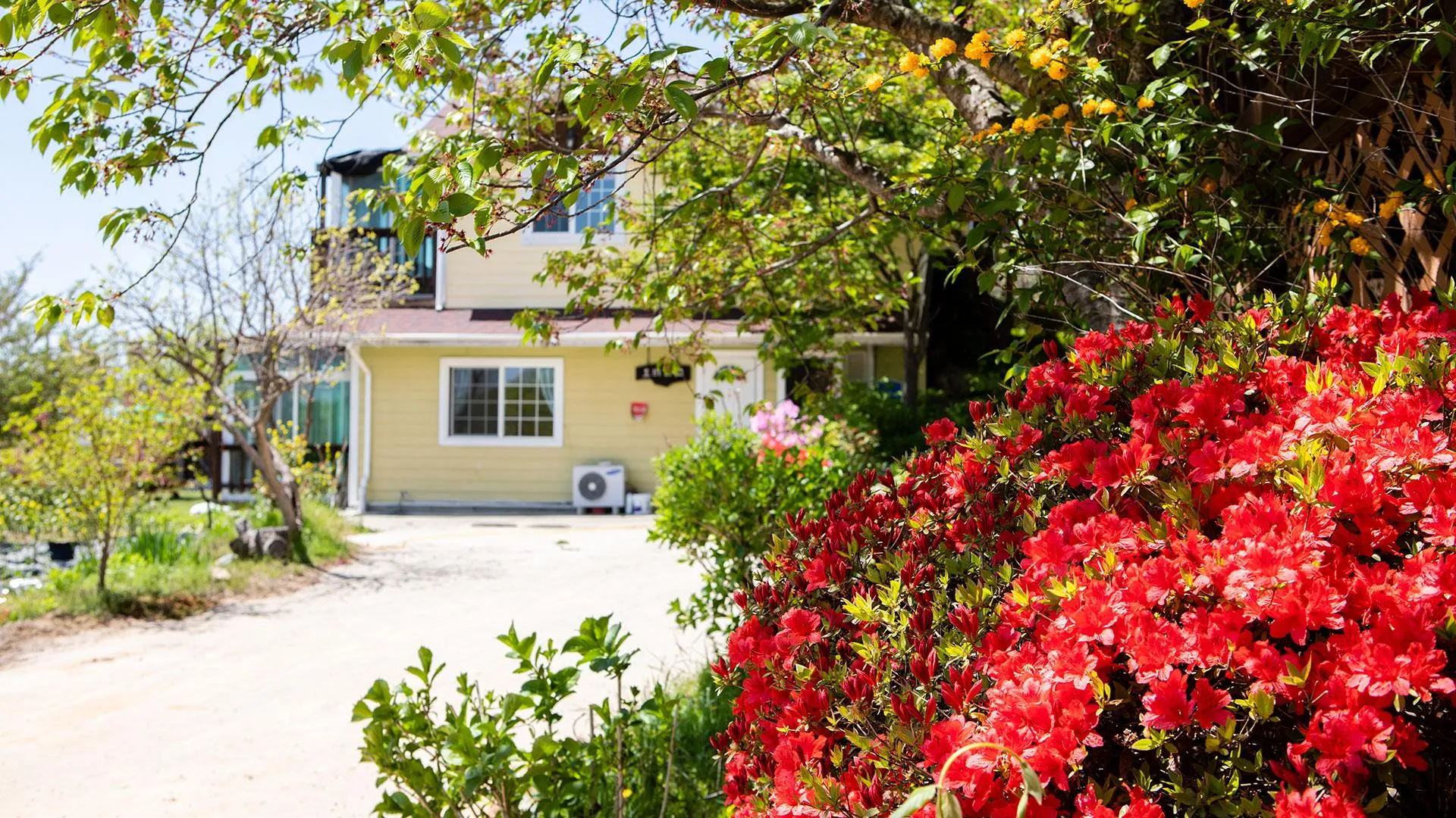 인천 강화 오비도스펜션 3성급 게스트하우스 수영장