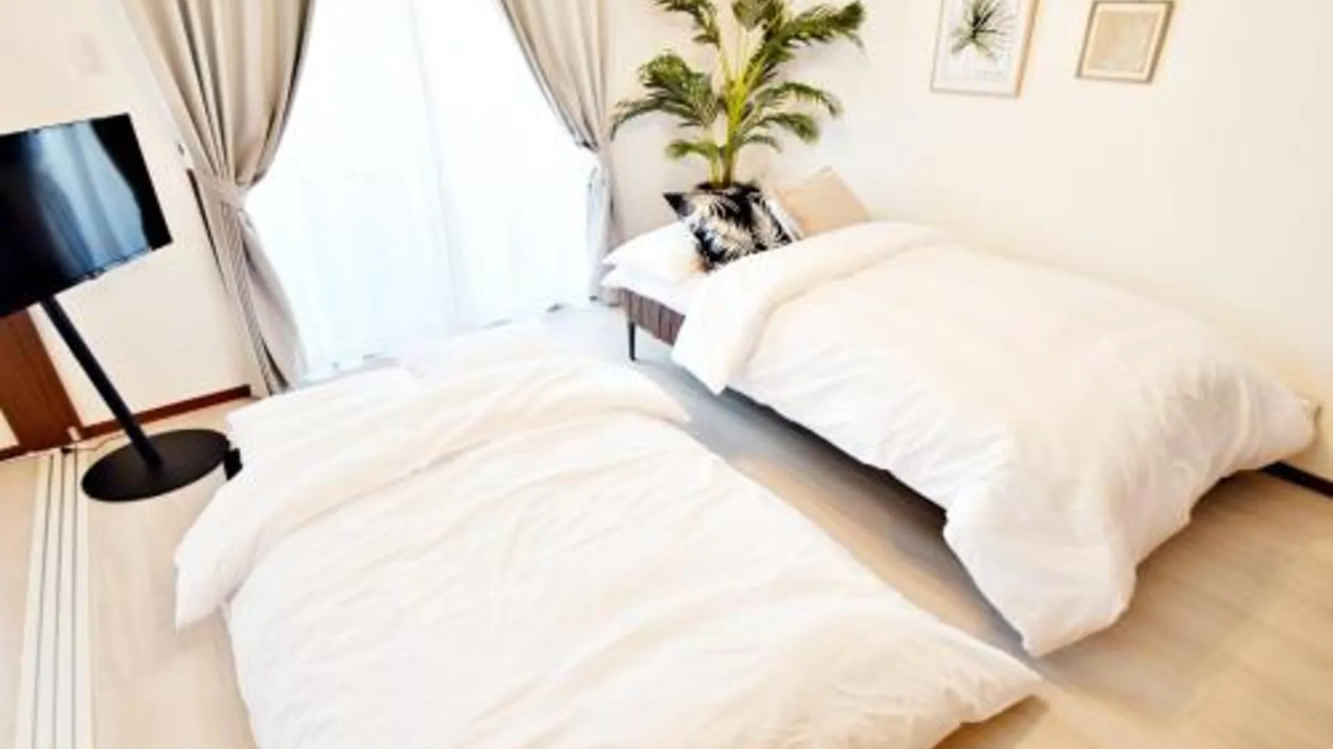 오키나와 본섬 オーシャンテラス瀬底 Room101 3성급 싱글룸 스위트룸