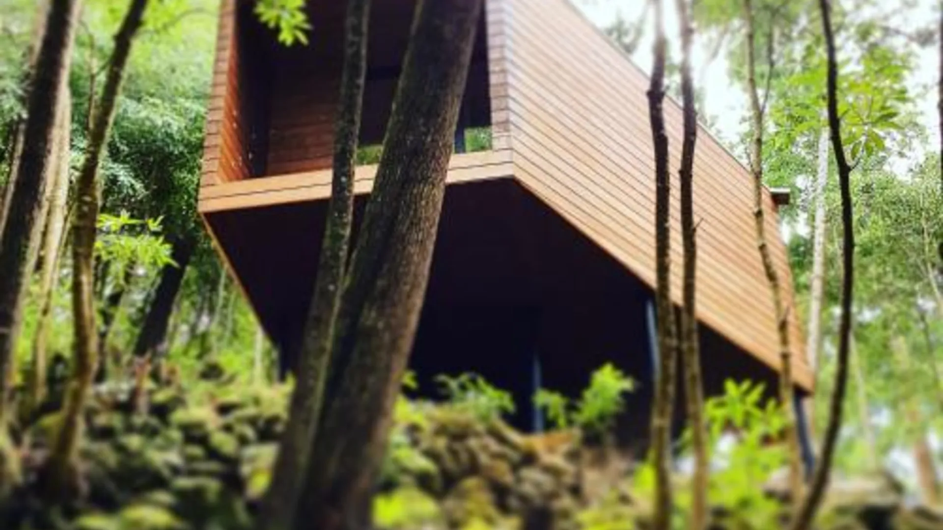 비스코이투스 Caparica Azores Ecolodge 4성급 호텔 레스토랑