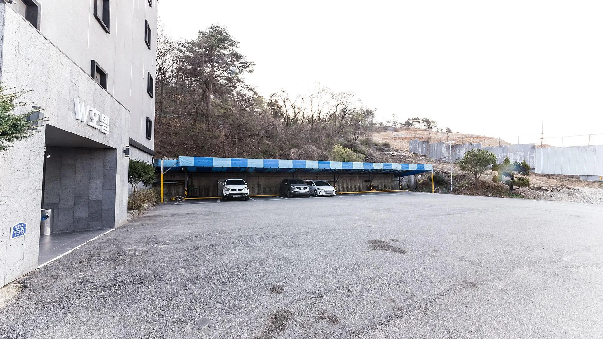 안성 안성 W 호텔 수영장