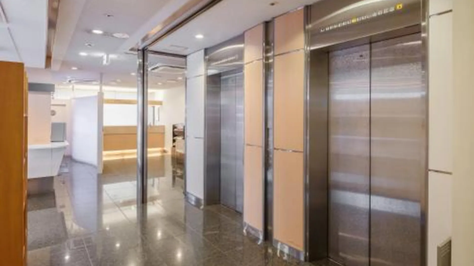 도쿄 / 동경 호텔 마이스테이 히가시-이케부쿠로 3성급 호텔 수영장