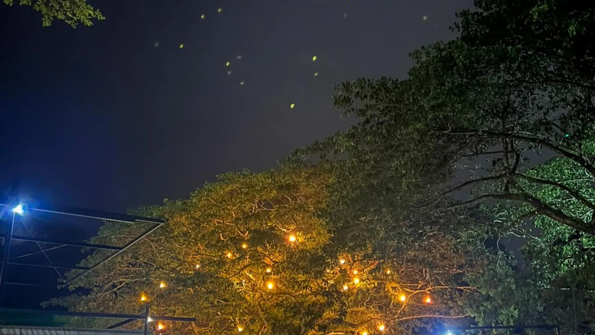 이포 Glamping at Xscape Tambun 3성급 게스트하우스 객실