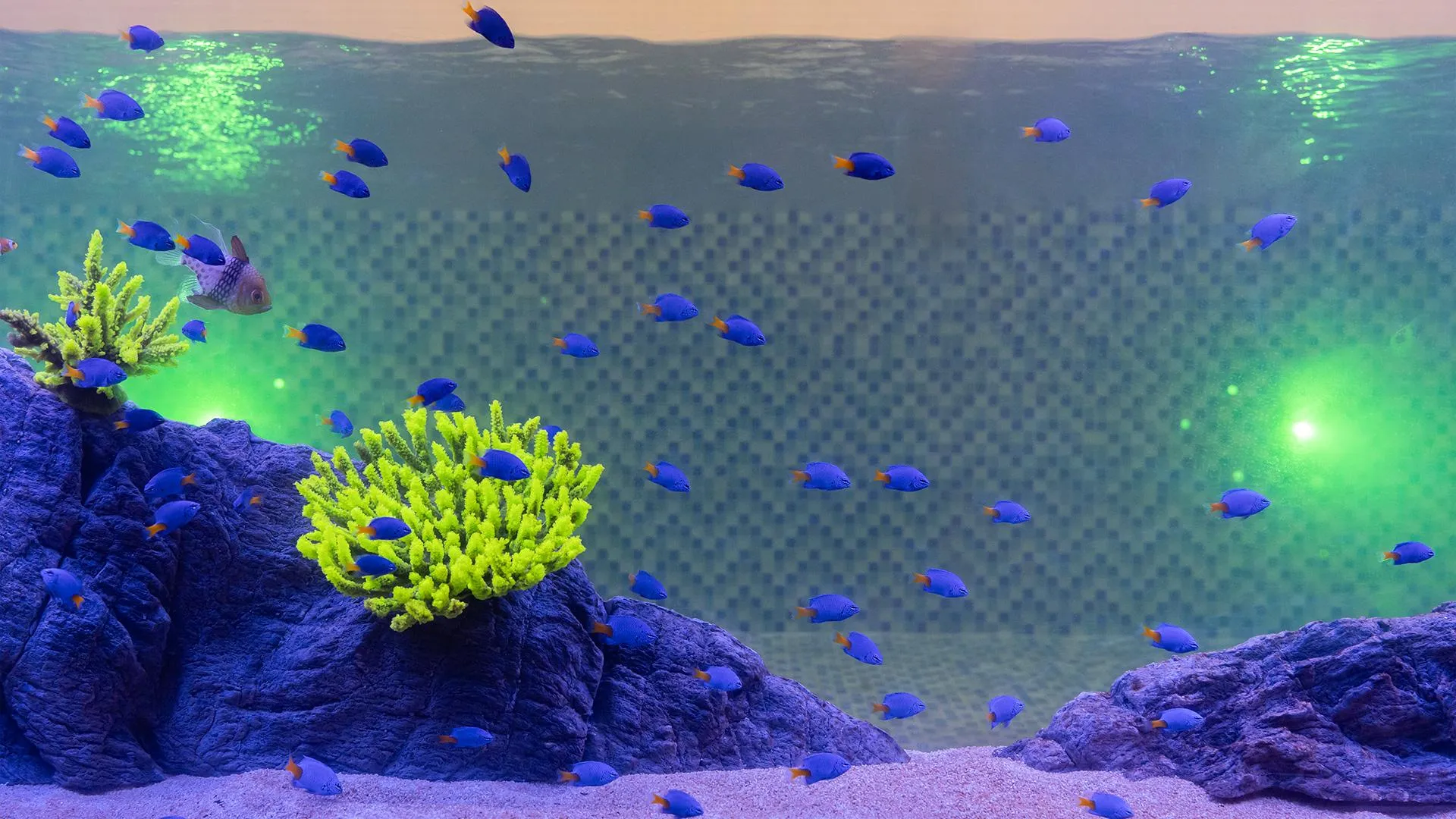 울산 울산 크레센트문 2성급 게스트하우스 객실