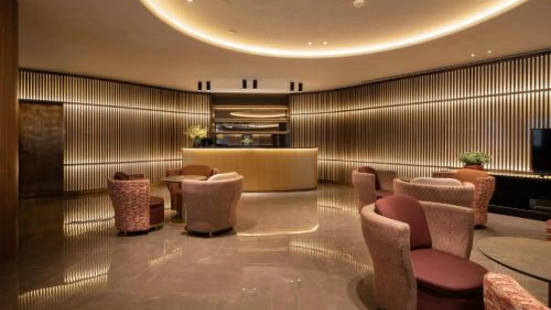 포르투 유로스타 알리아두스 5성급 호텔 수영장