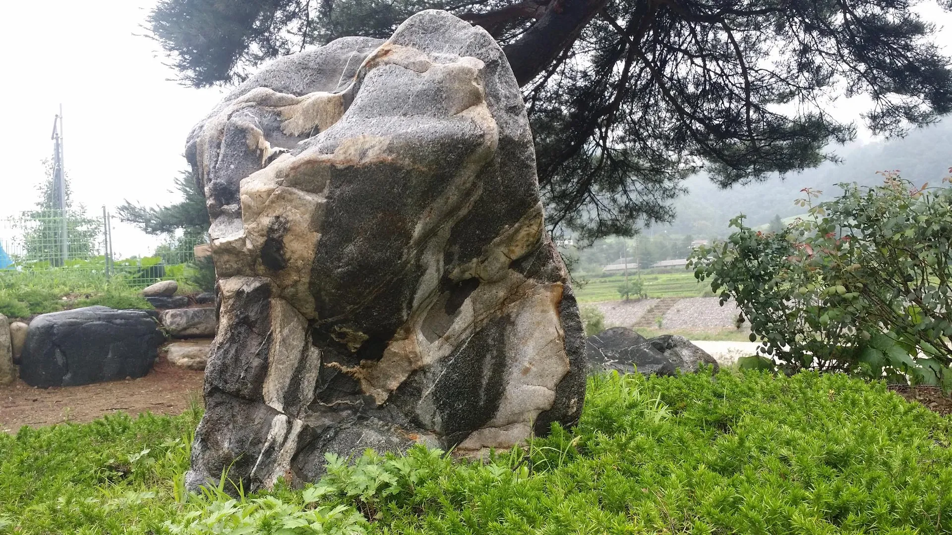 인제 인제 용늪펜션 1성급 게스트하우스 수영장