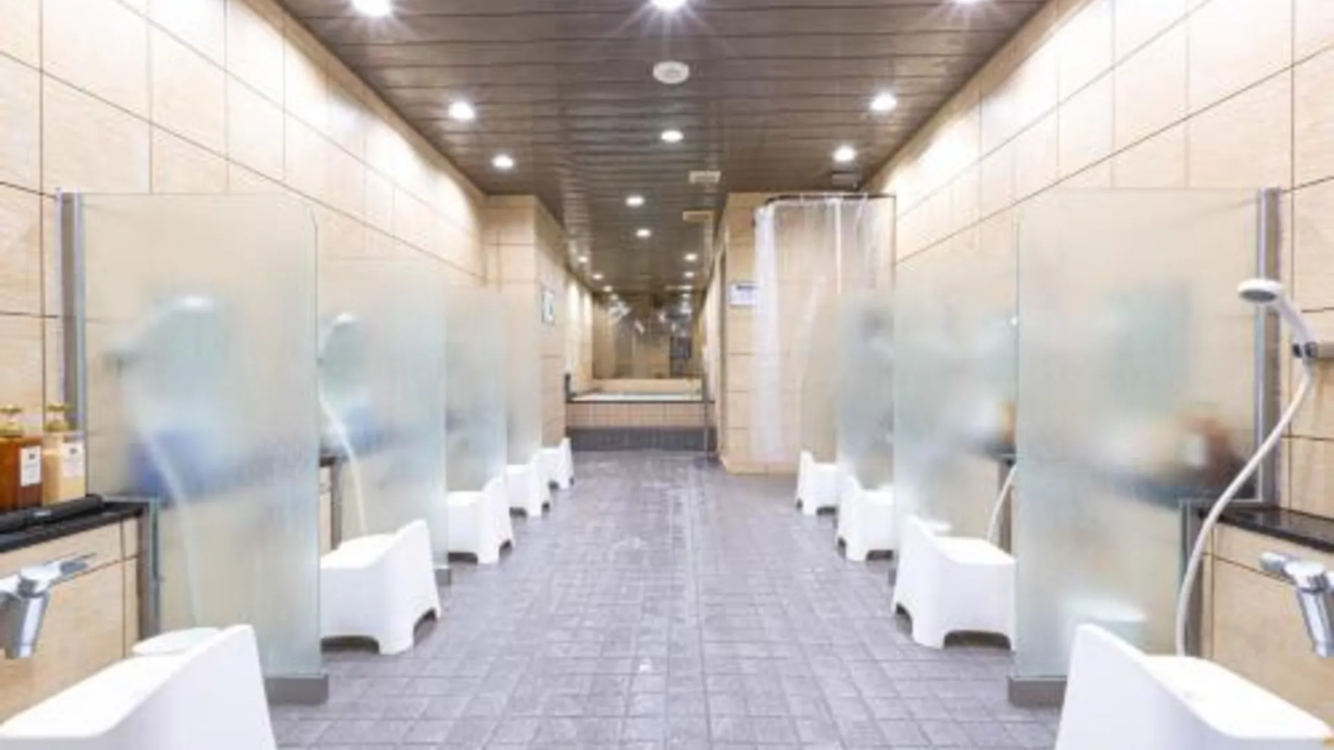 도쿄 / 동경 안신 오야도 아키하바라 - 맨 온리 1성급 호텔 수영장