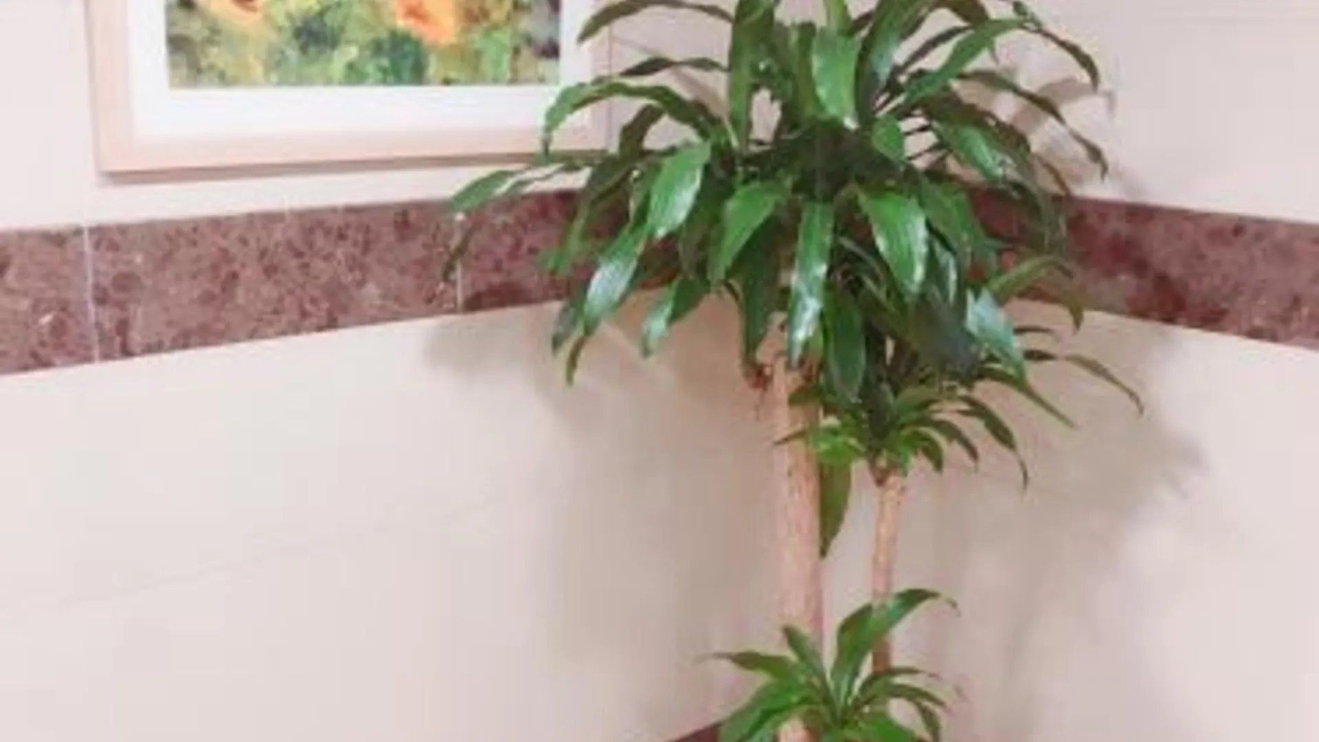 타이베이 더 쿠스 호텔 3성급 호텔 전망