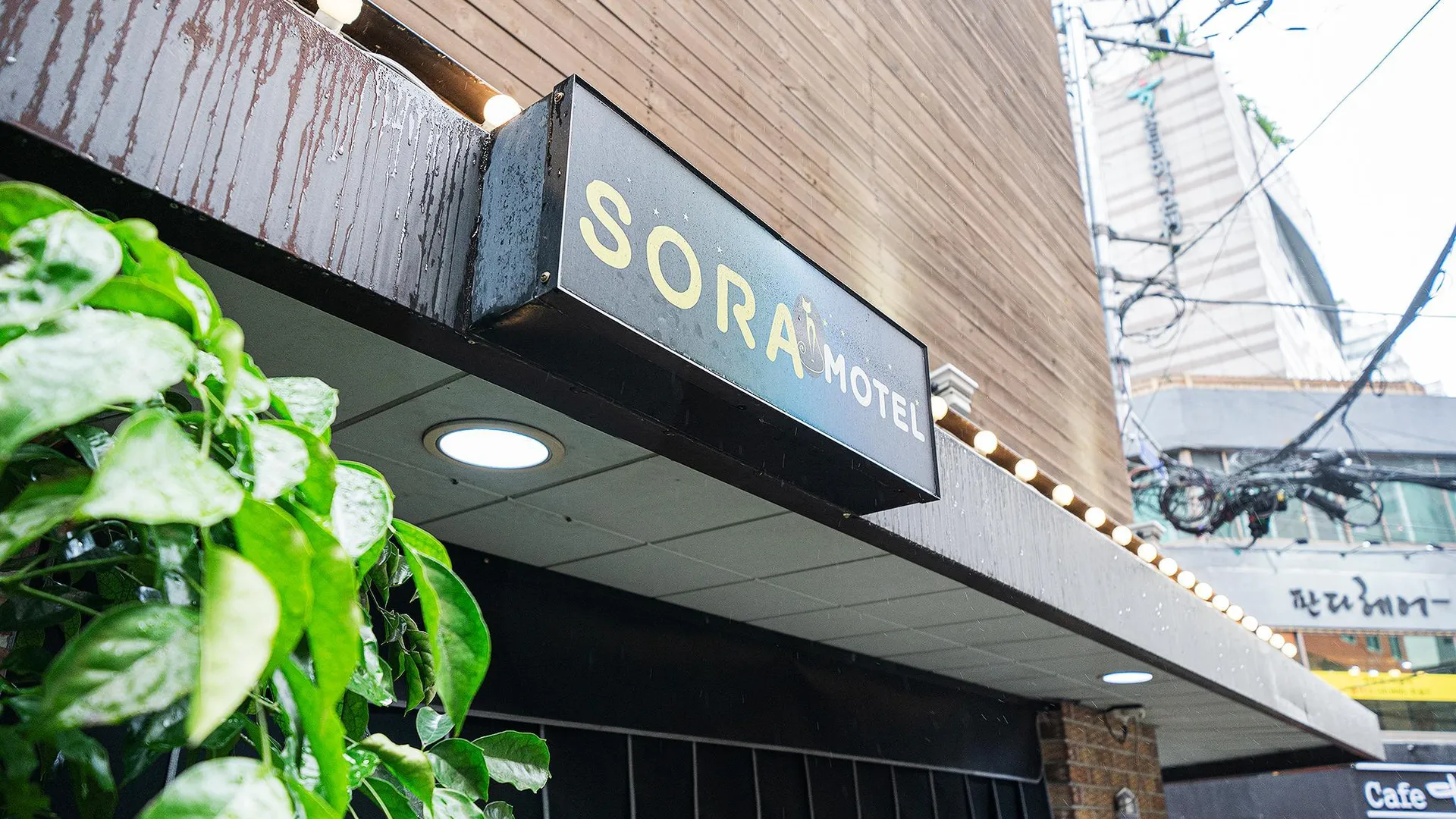 서울 이대(신촌) 소라 3성급 호텔 전망