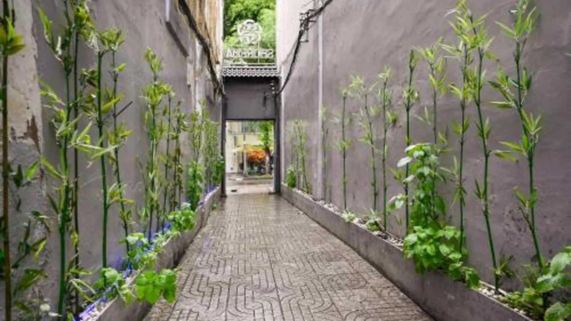 호치민 벤탄 인 - M 앤 A 3성급 호텔 수영장