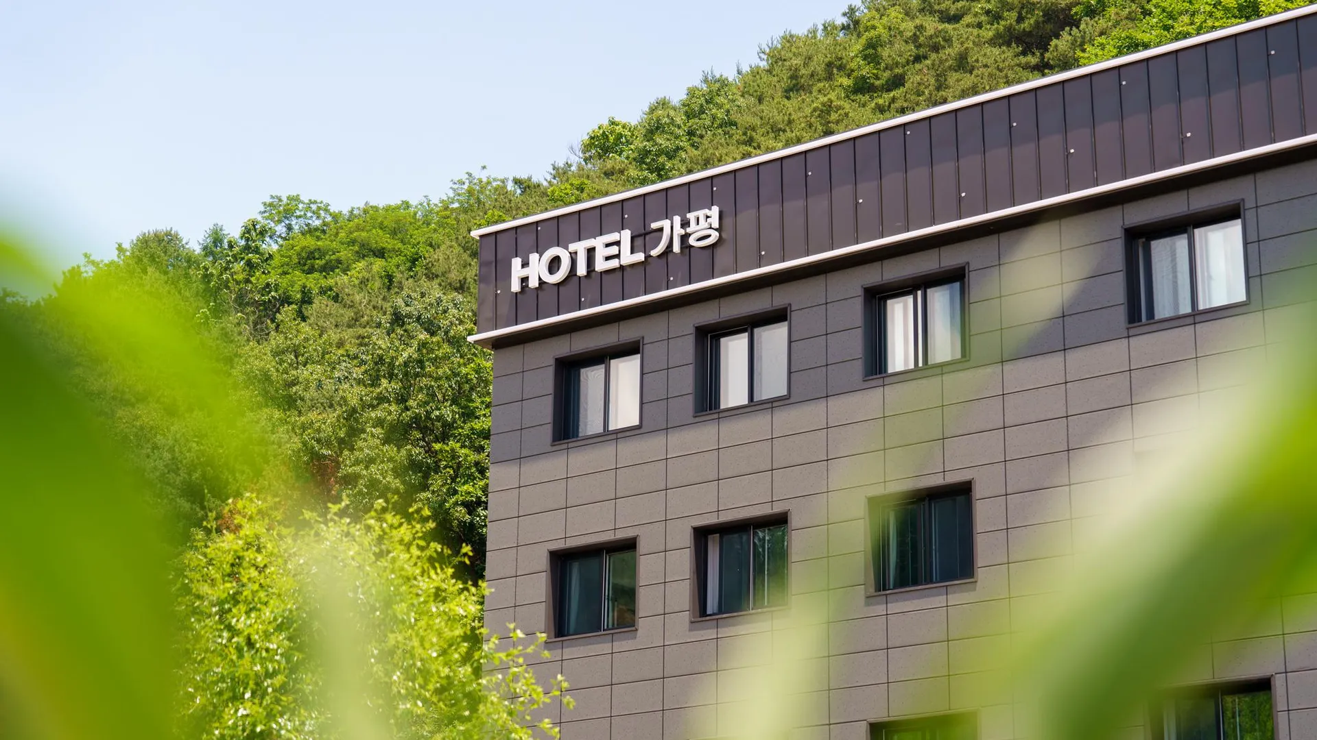 가평 가평호텔 호텔 스위트룸