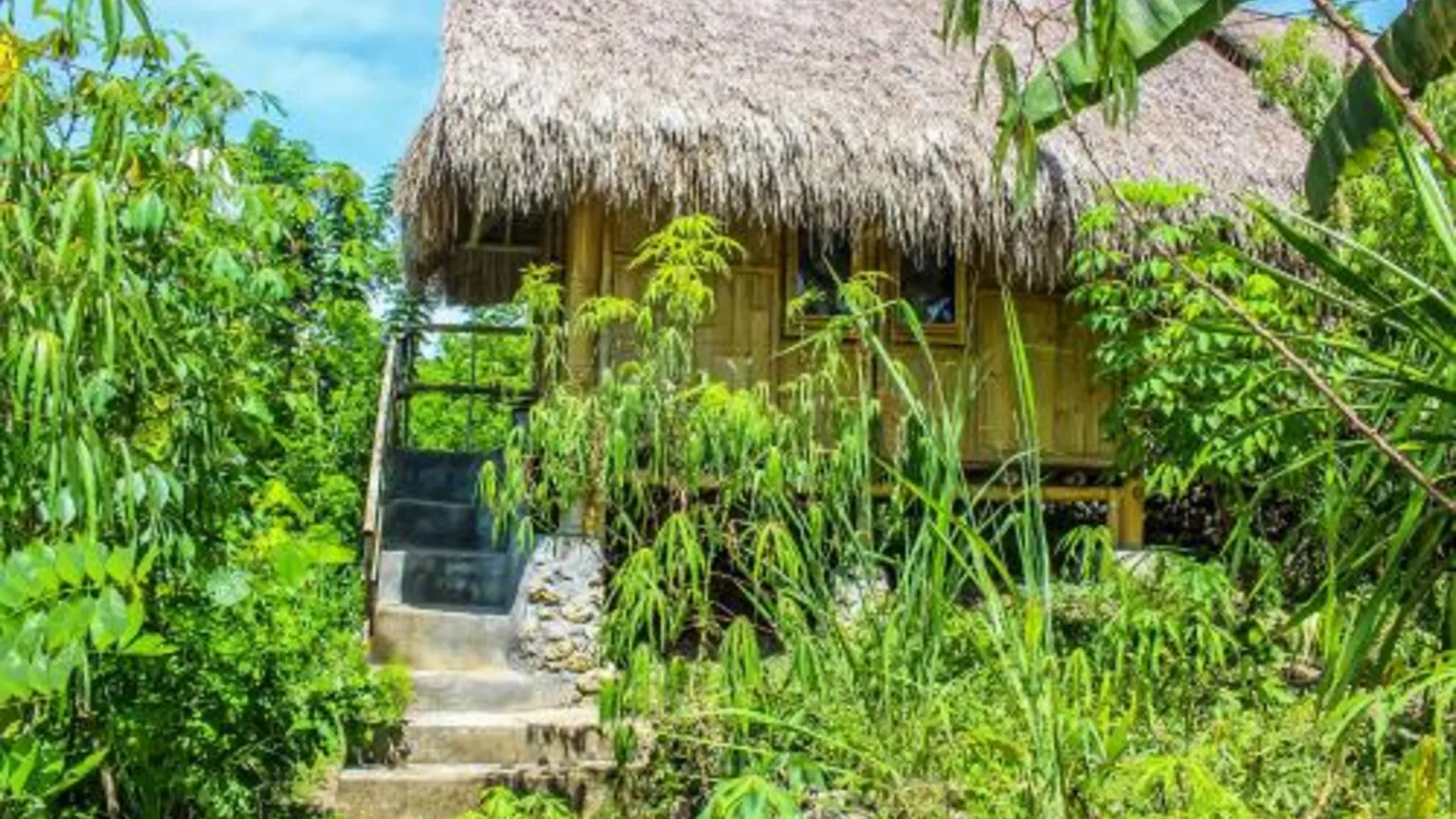 발리 Echo Alam Nusa Lodge 3성급 게스트하우스 전망