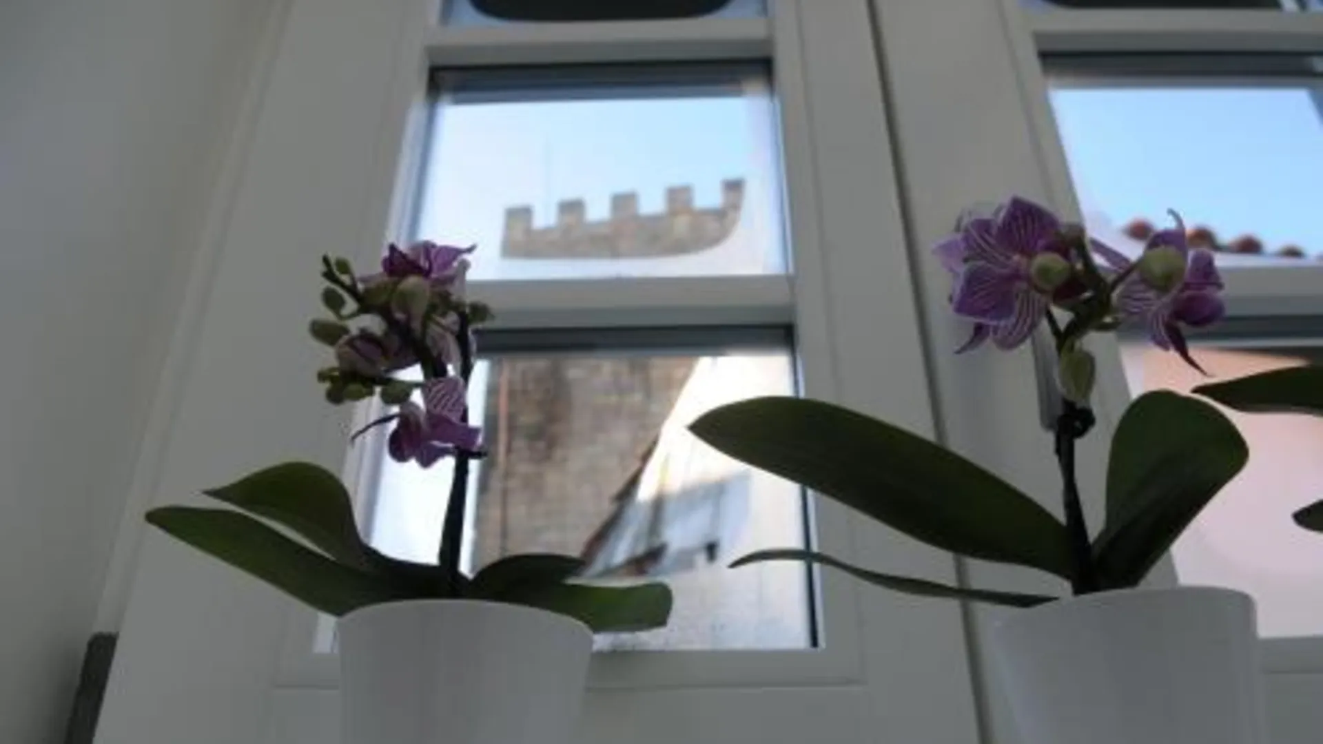 라메고 The Castle House 3성급 게스트하우스 객실