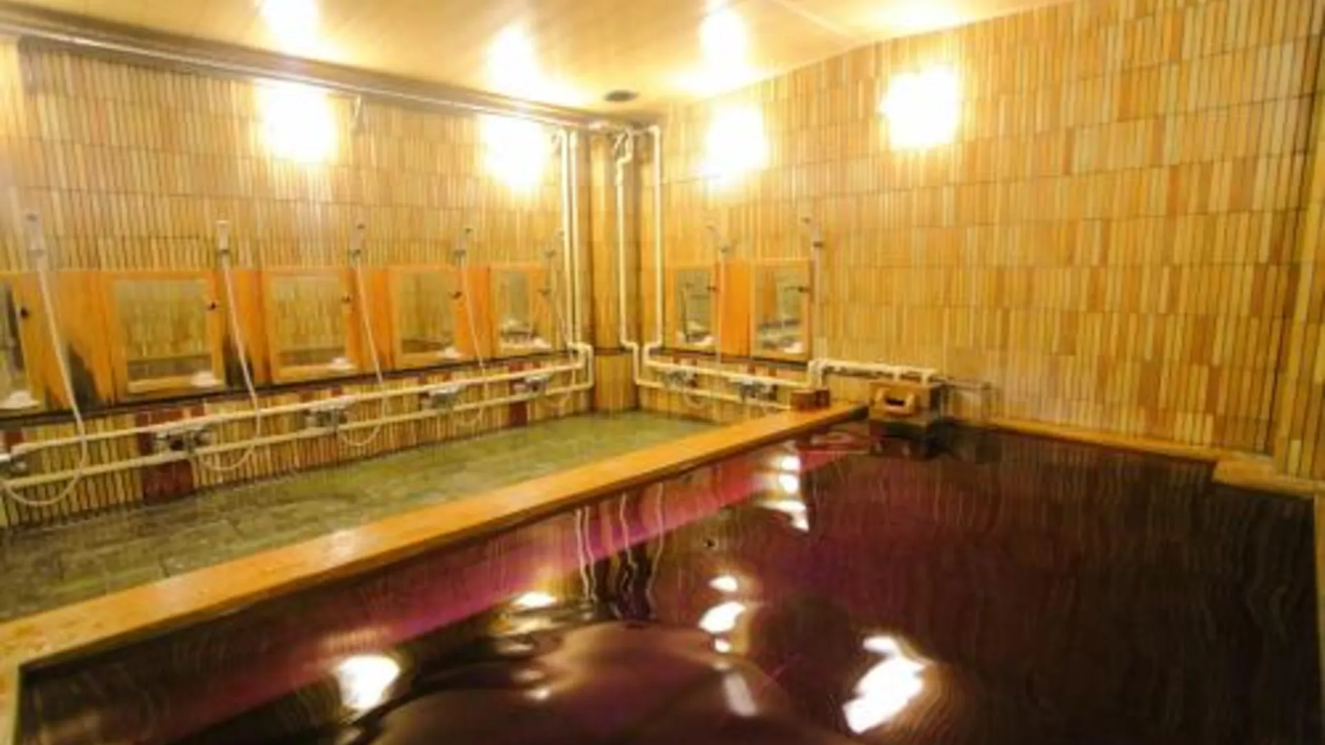 도쿄 / 동경 호텔 마루타니 2성급 호텔 수영장