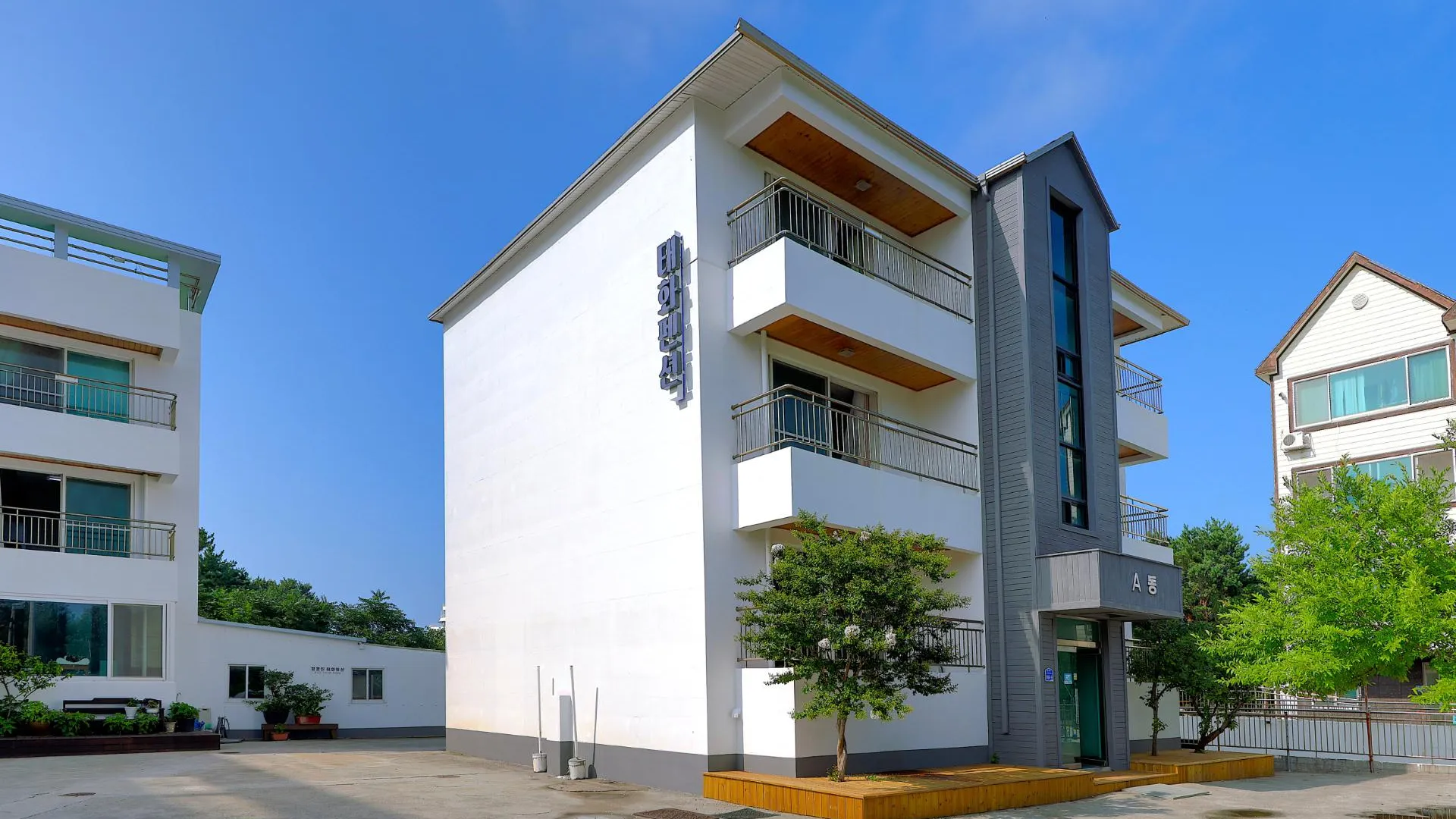 강릉 태화 펜션 3성급 게스트하우스 수영장