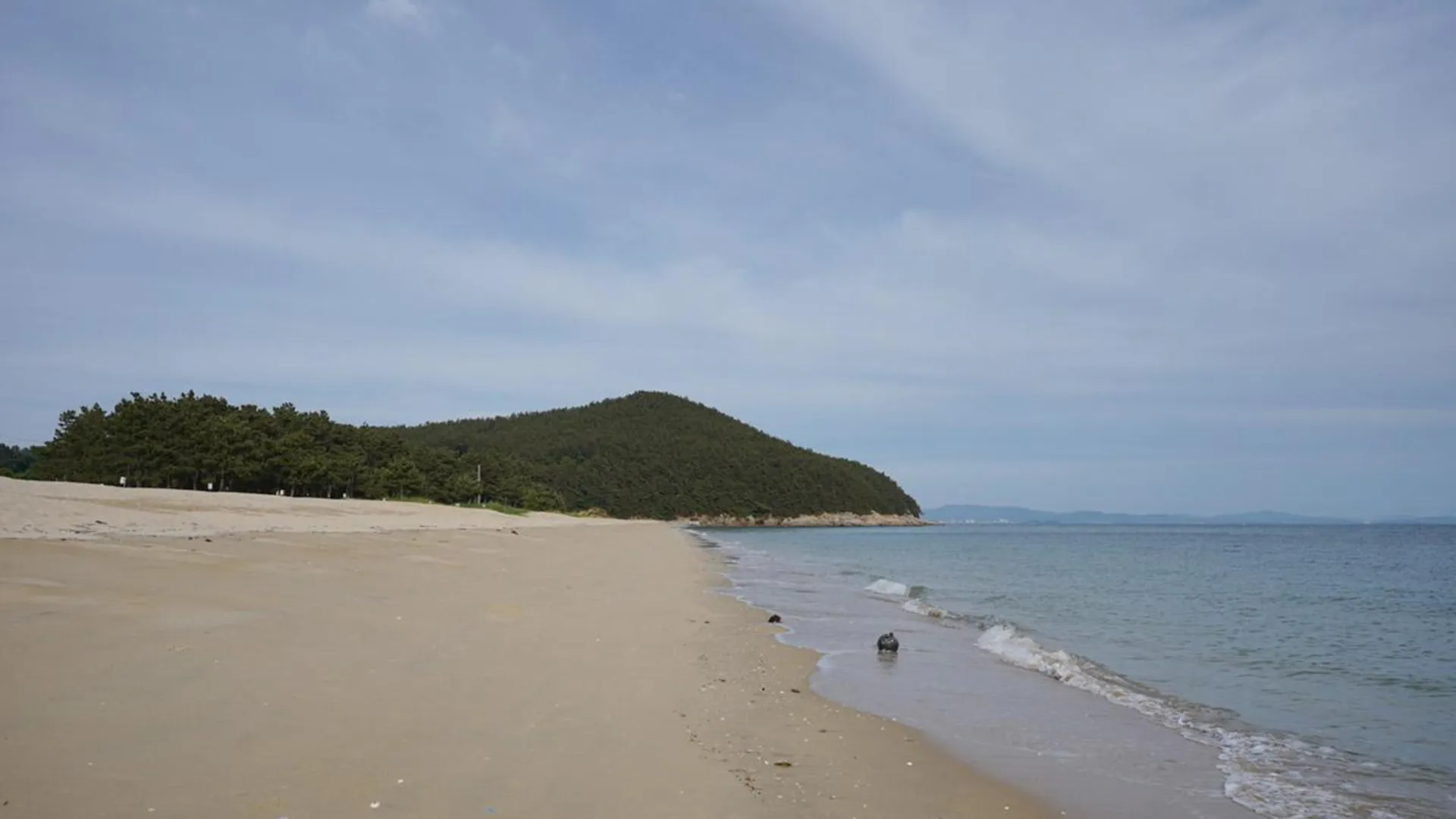 보령 보령 비치하우스펜션 2성급 게스트하우스 부대시설