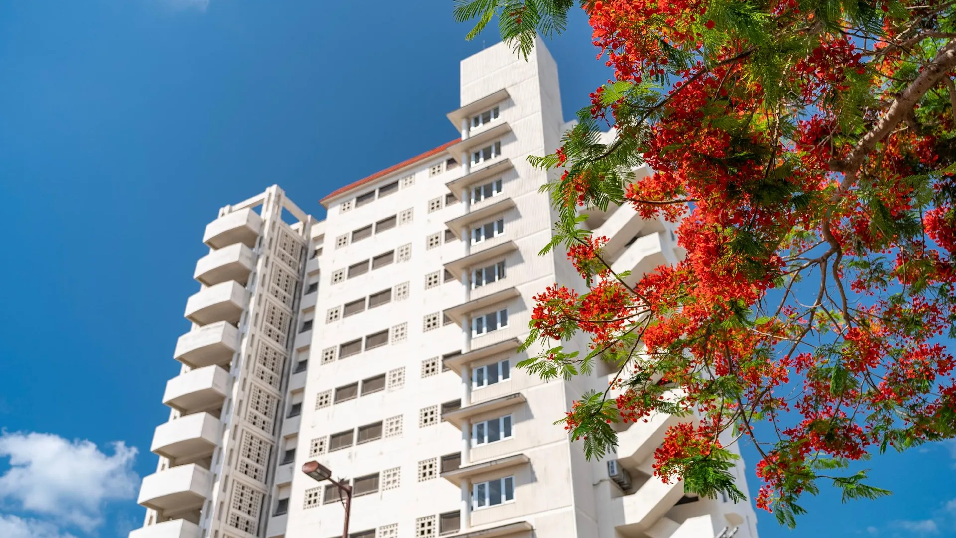 이시가키 이시가키지마 호텔 이스트 씨 3성급 호텔 객실