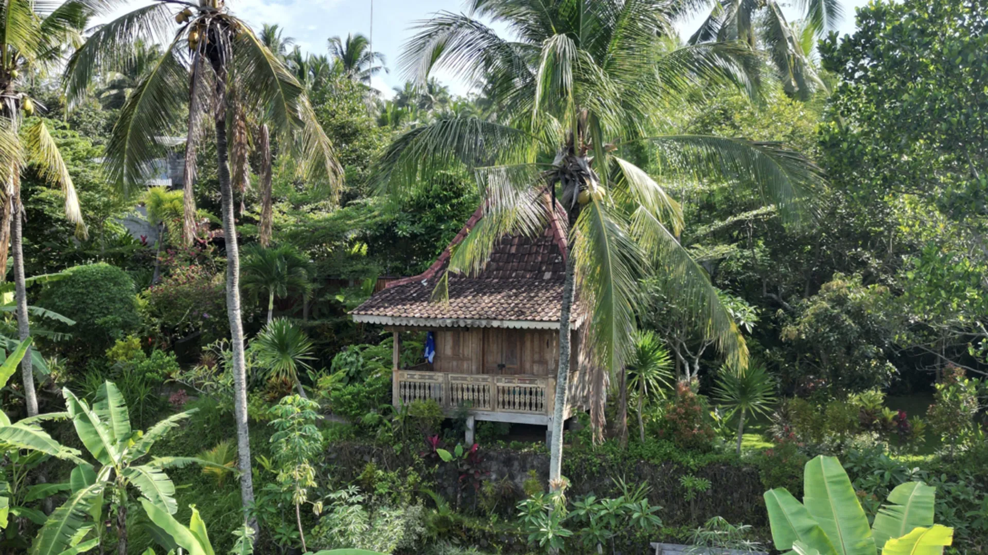 발리 싱아라자의 빌라 (20m², 침실 1개, 프라이빗 욕실 1개) 3성급 싱글룸 외관