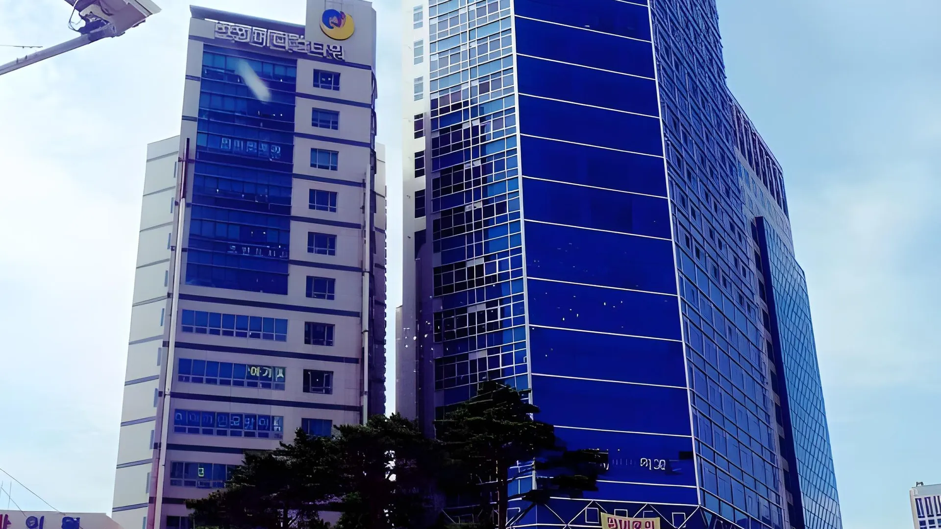 대구 DG 하우스 3성급 게스트하우스 로비