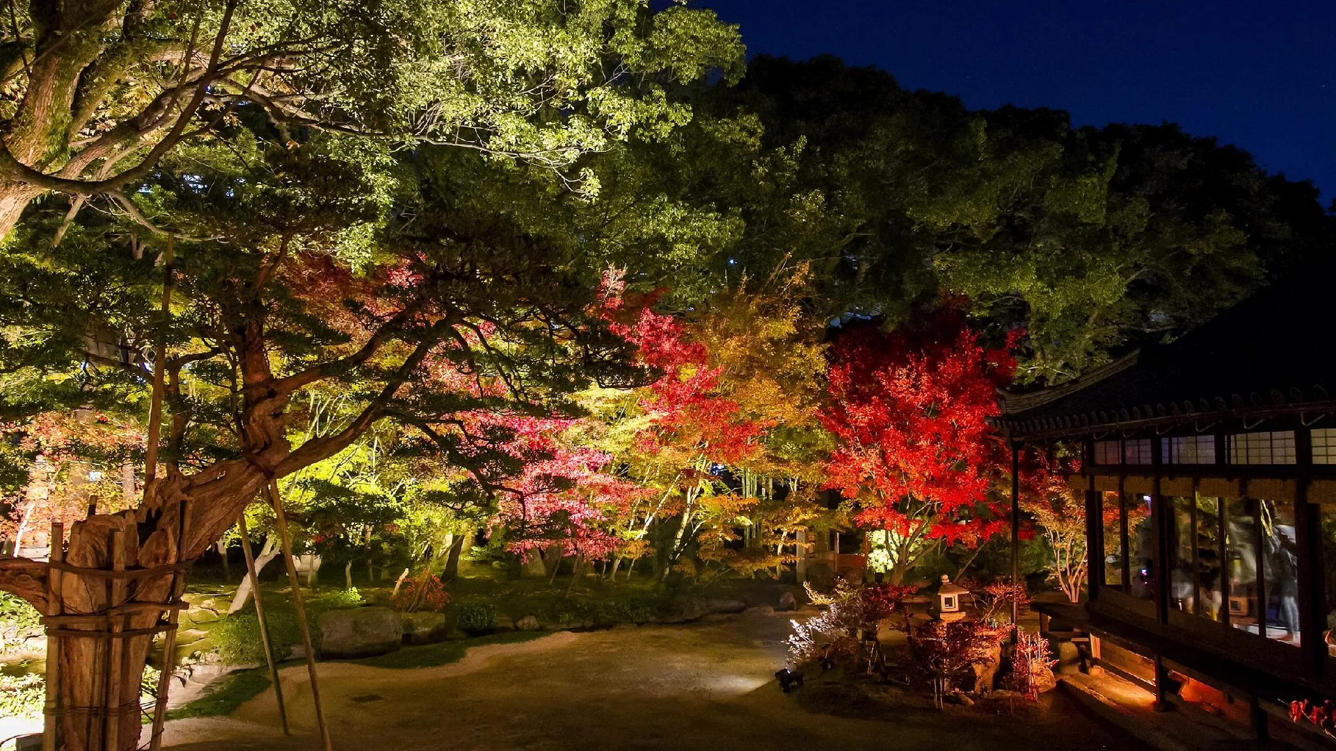 후쿠오카 레이센가쿠 호텔 가와바타 나카스 3성급 호텔 수영장