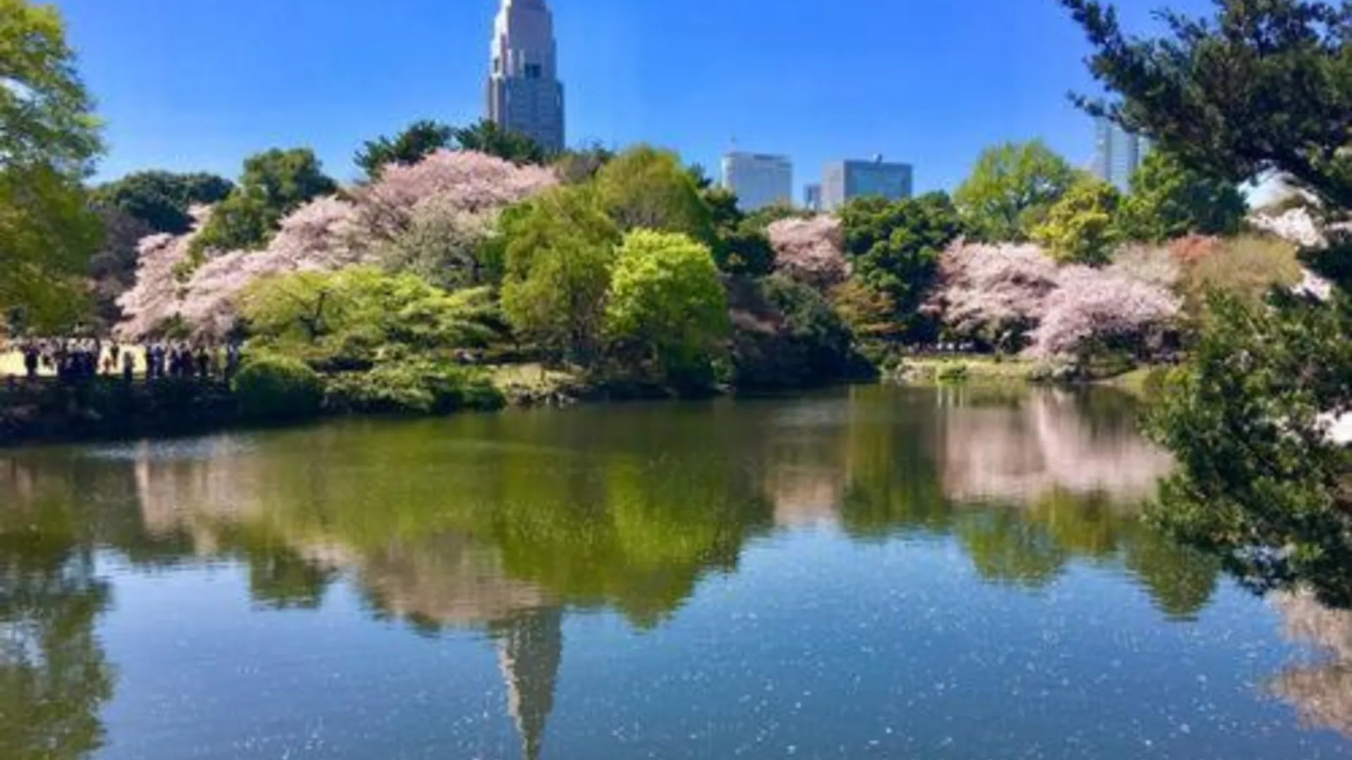 도쿄 / 동경 호텔 고류카쿠 4성급 호텔 부대시설