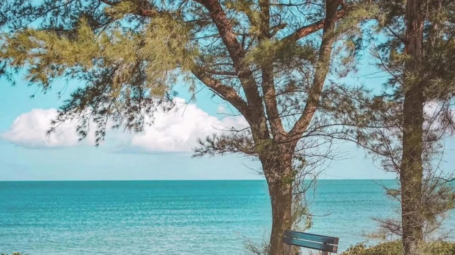 타이베이 싼즈 구의 방갈로 (90m², 침실 2개, 프라이빗 욕실 1개) 3성급 싱글룸 부대시설