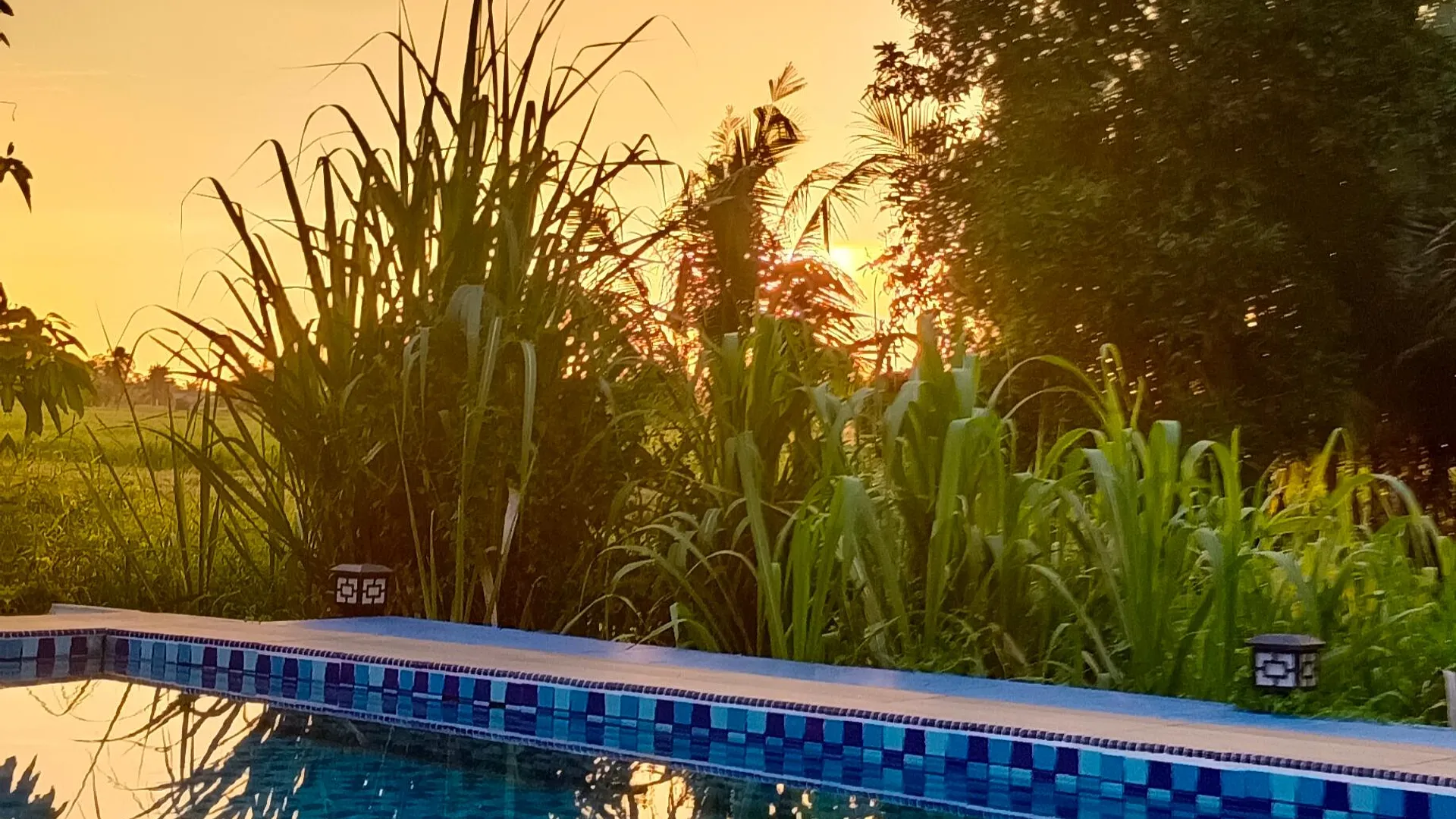 쿠알라 쿠라우 KURAU INN FARMSTAY 4성급 게스트하우스 부대시설