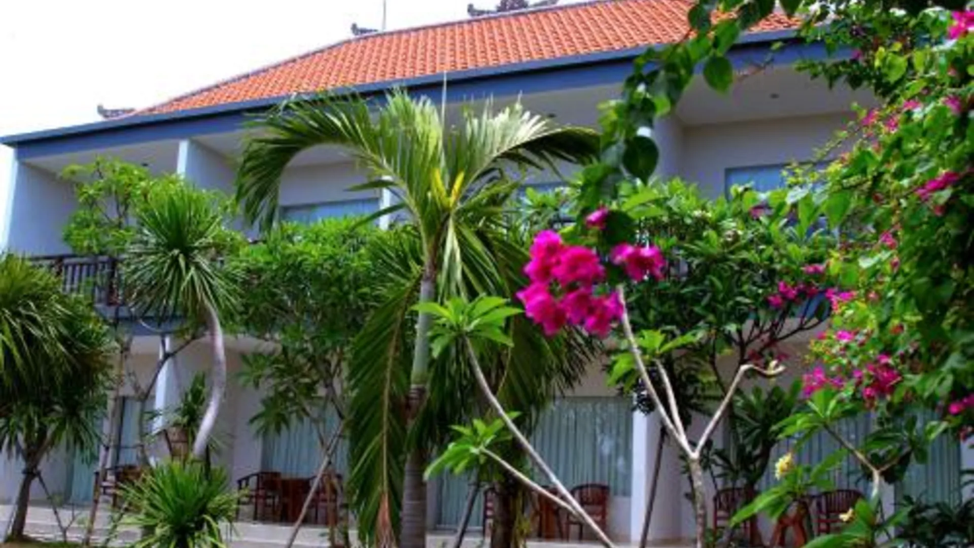 발리 Ropik & Alik Home Stay 2성급 싱글룸 수영장