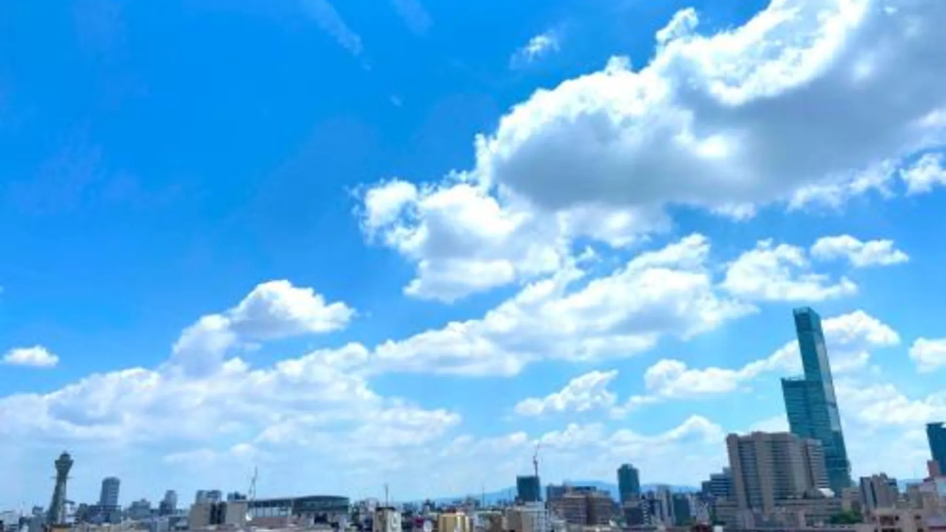 오사카 가마가사키 예술대학 카페 가든 게스트 하우스 1성급 호텔 레스토랑