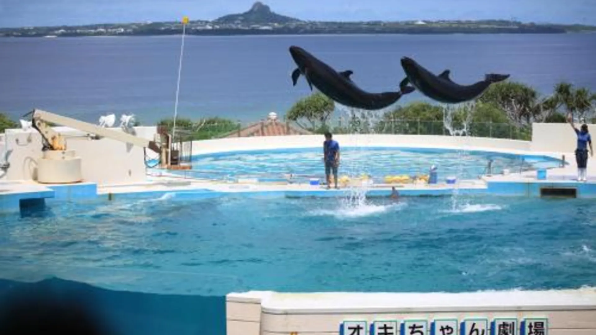 오키나와 본섬 카리유시 콘도미니엄 리조트 나고 우민추 노 야도 4성급 게스트하우스 로비