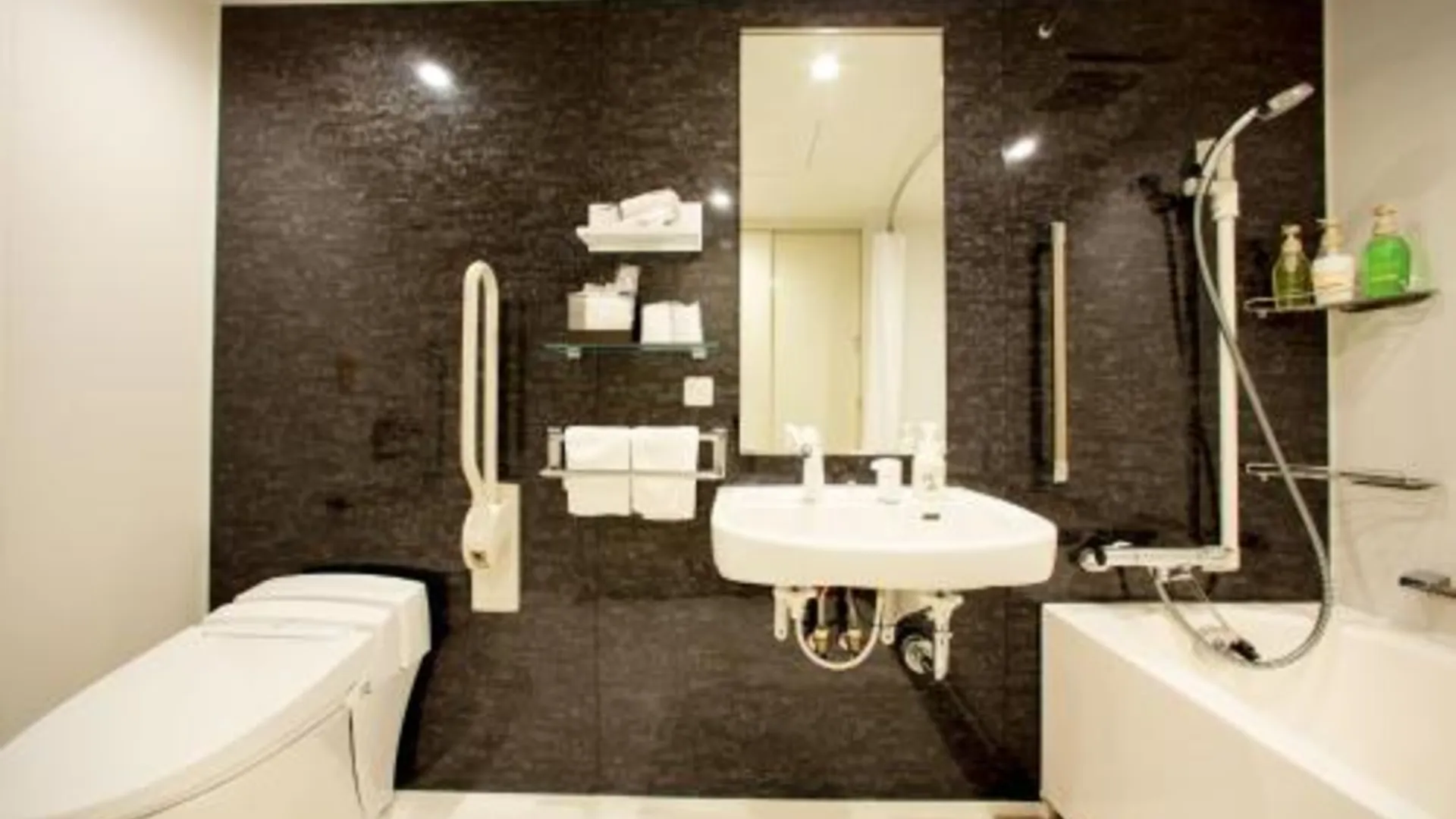 도쿄 / 동경 JHotel Tokyo GEO 3성급 호텔 스위트룸