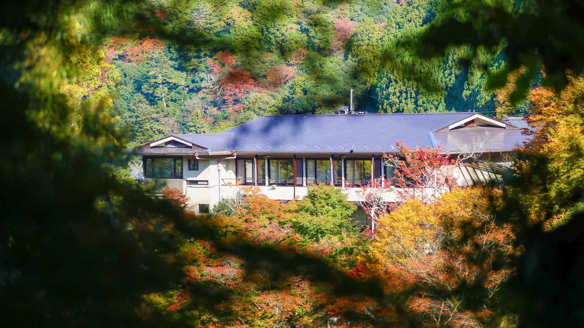 교토 모미지야 혼칸 타카오 산수 료칸 4성급 호텔 객실