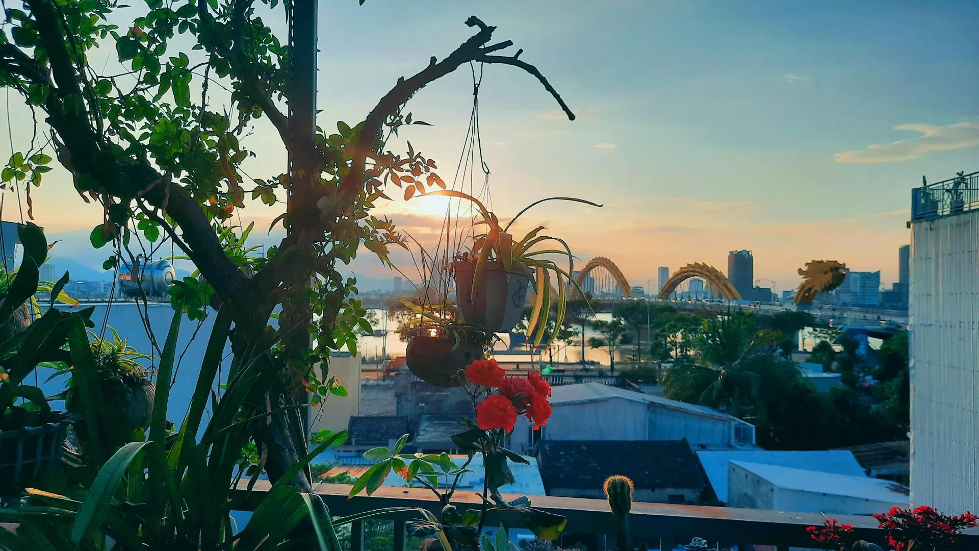 다낭 푸옥미의 프라이빗 하우스 (17m², 침실 1개, 프라이빗 욕실 1개) 3성급 싱글룸 부대시설